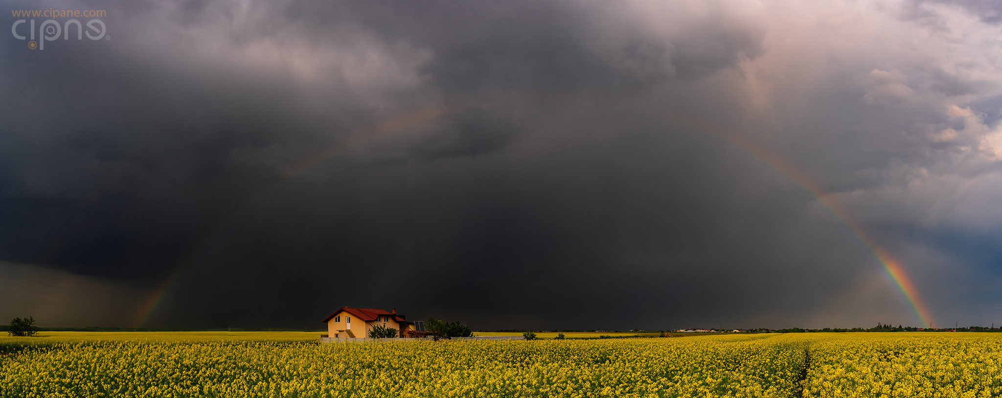 Rainbow in the dark