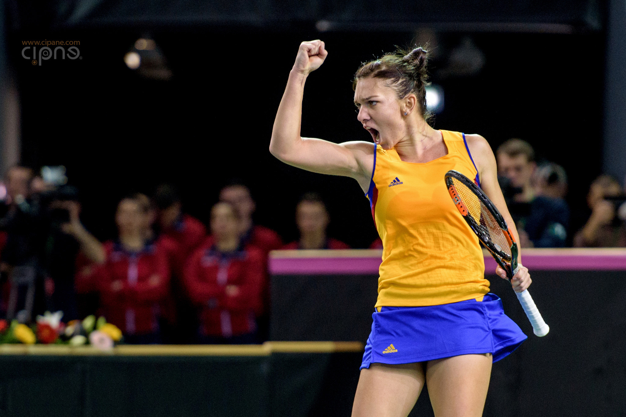 FedCup - România-Cehia - Simona Halep vs. Karolina Pliskova - 6 februarie 2016 - Sala Polivalentă, Cluj-Napoca
