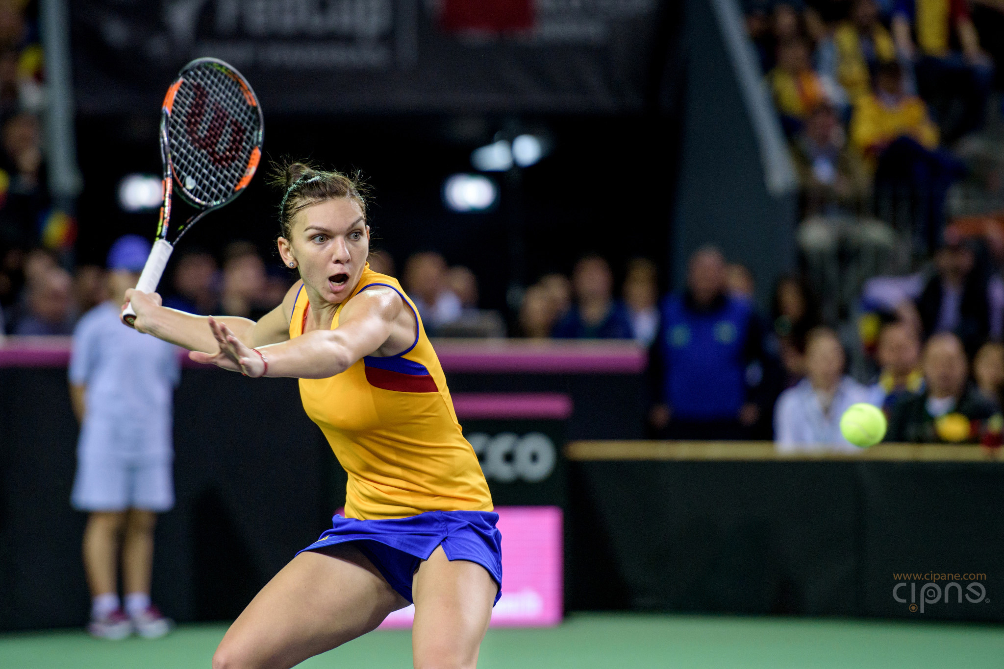 FedCup - România-Cehia - Simona Halep vs. Karolina Pliskova - 6 februarie 2016 - Sala Polivalentă, Cluj-Napoca
