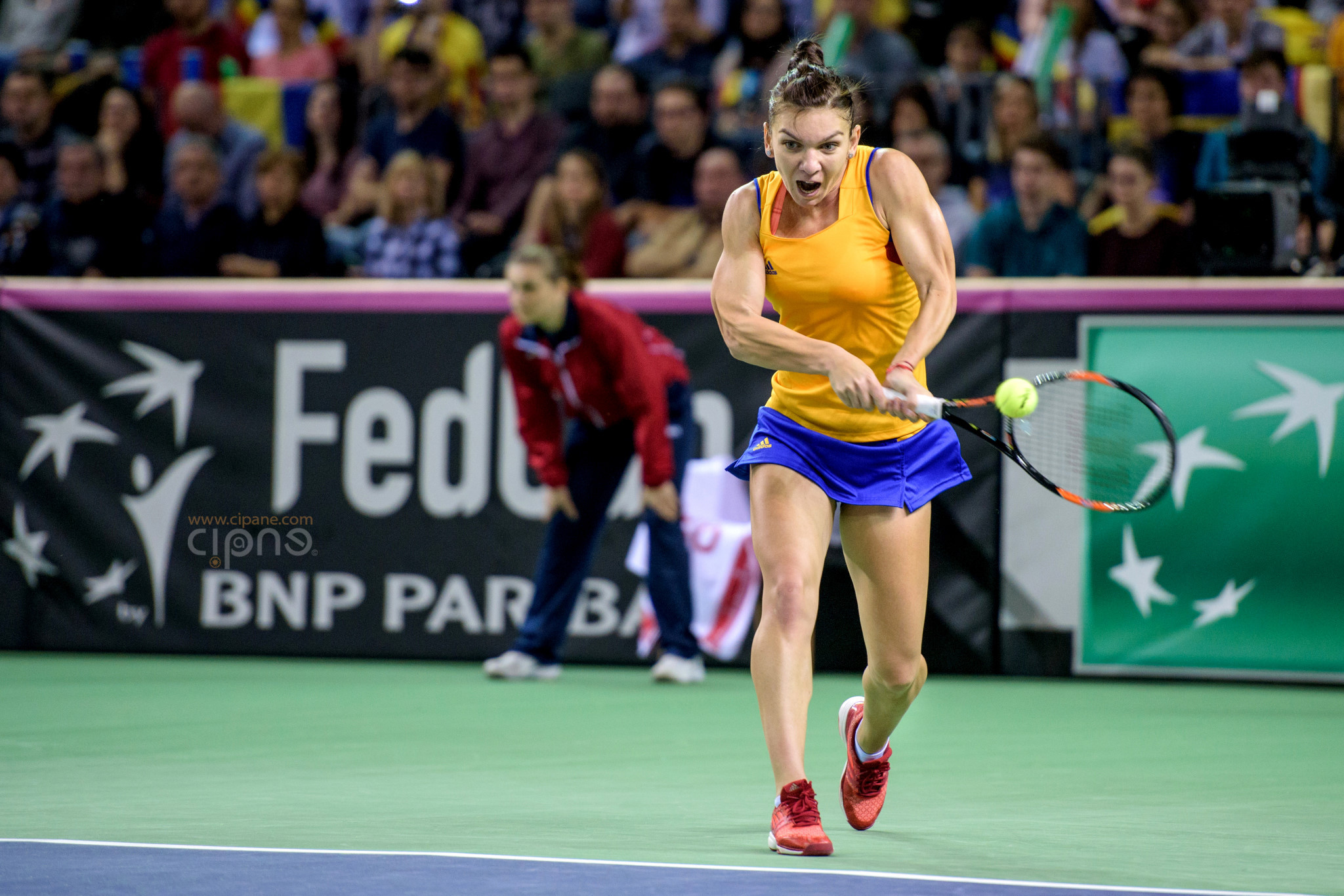FedCup - România-Cehia - Simona Halep vs. Karolina Pliskova - 6 februarie 2016 - Sala Polivalentă, Cluj-Napoca