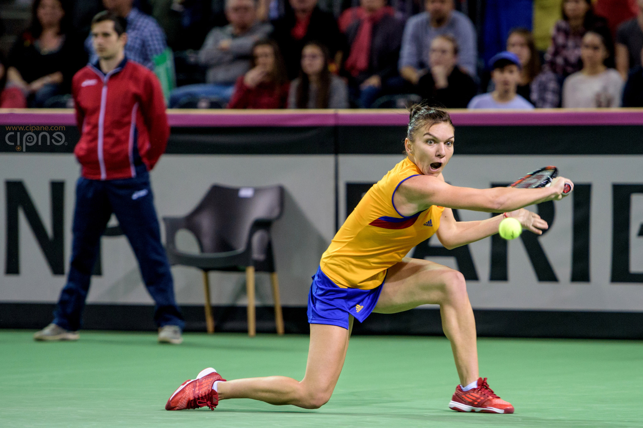 FedCup - România-Cehia - Simona Halep vs. Karolina Pliskova - 6 februarie 2016 - Sala Polivalentă, Cluj-Napoca