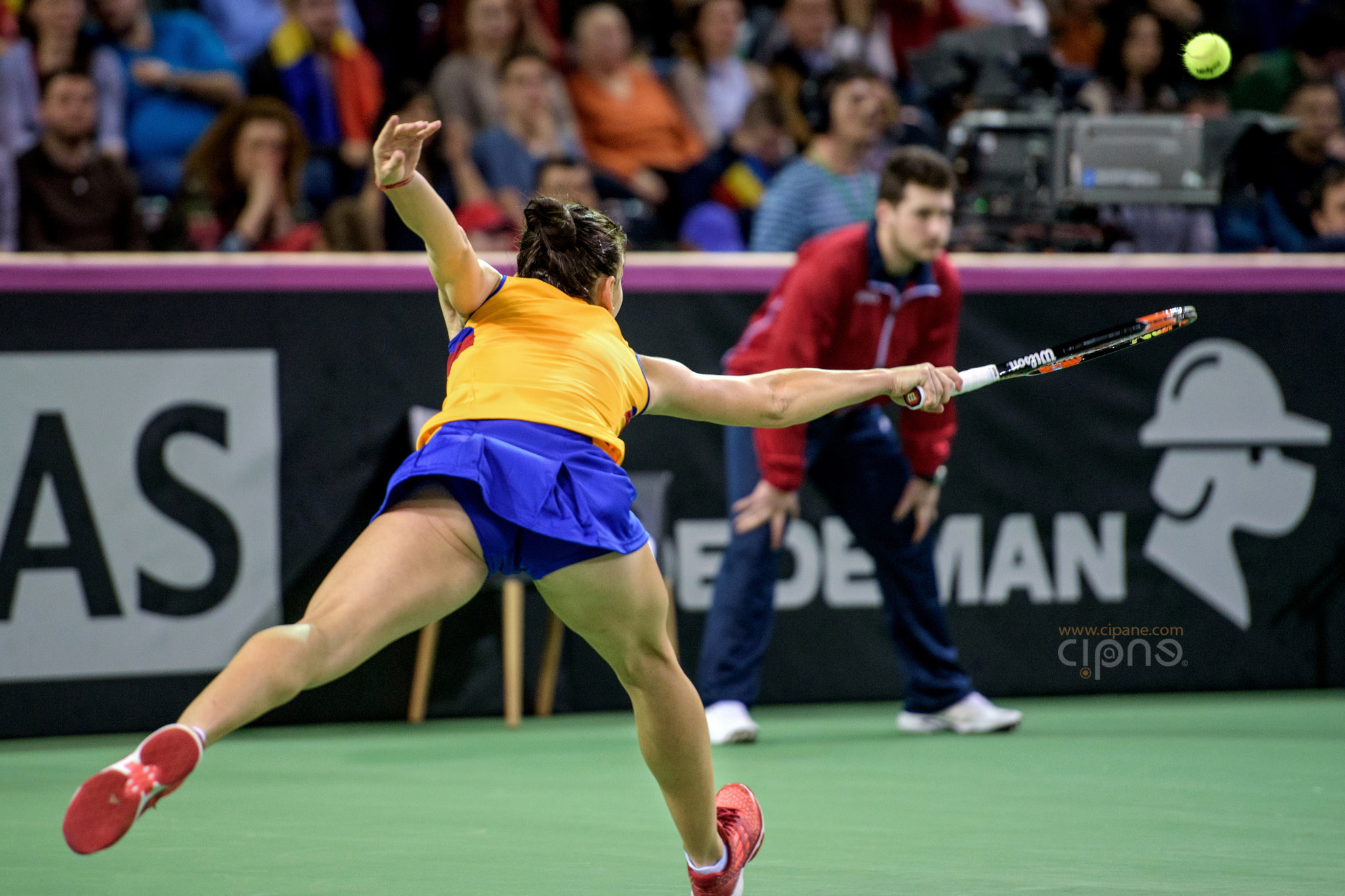 FedCup - România-Cehia - Simona Halep vs. Karolina Pliskova - 6 februarie 2016 - Sala Polivalentă, Cluj-Napoca