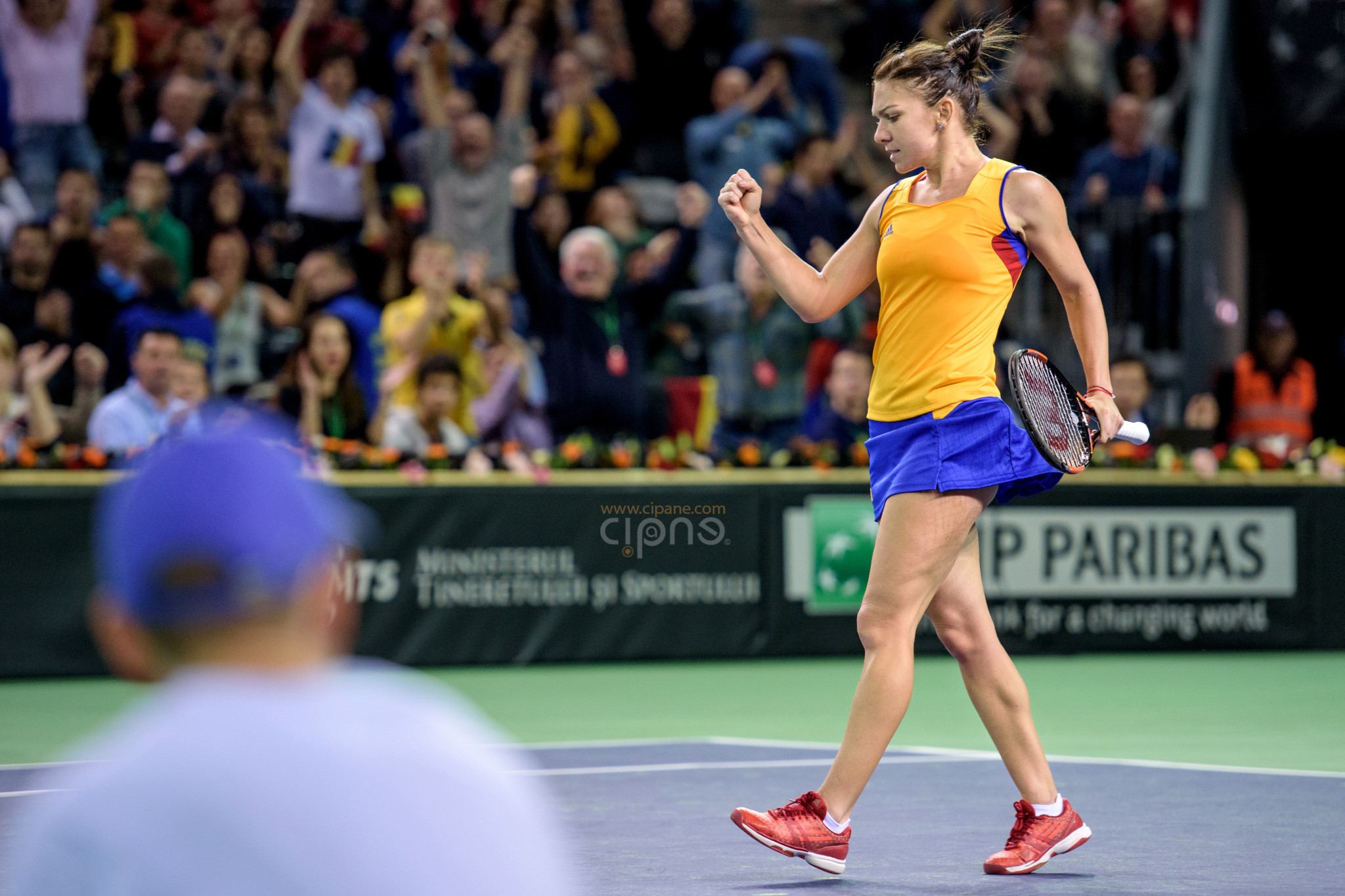 FedCup - România-Cehia - Simona Halep vs. Karolina Pliskova - 6 februarie 2016 - Sala Polivalentă, Cluj-Napoca
