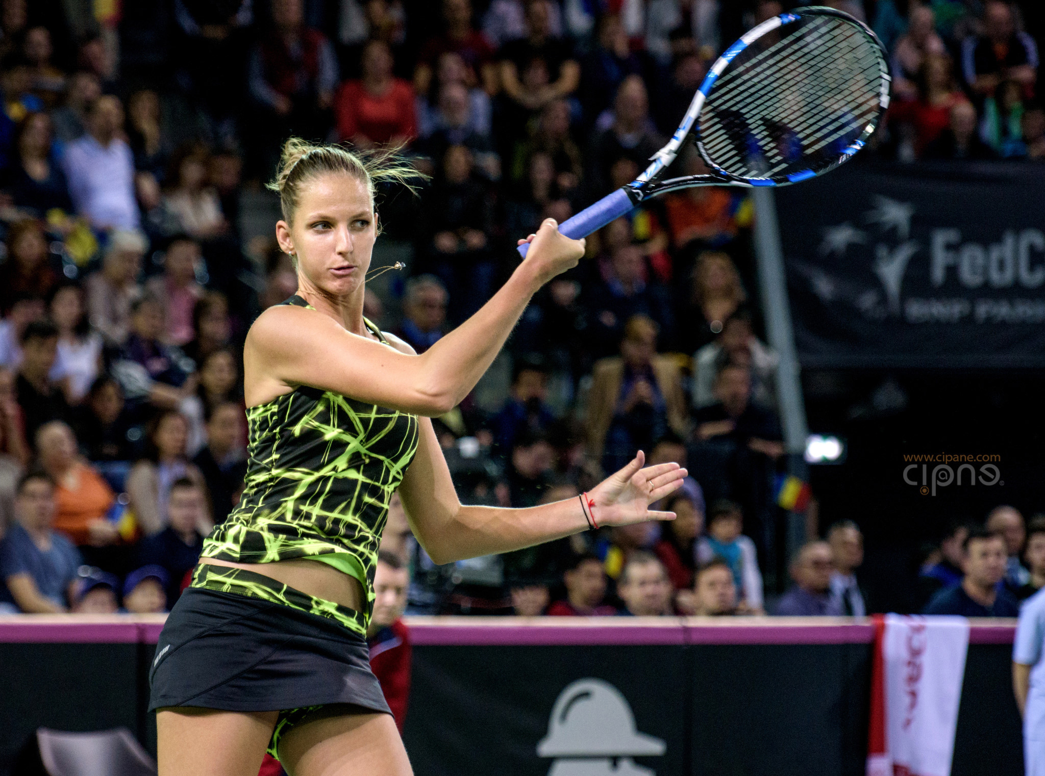 FedCup - România-Cehia - Simona Halep vs. Karolina Pliskova - 6 februarie 2016 - Sala Polivalentă, Cluj-Napoca