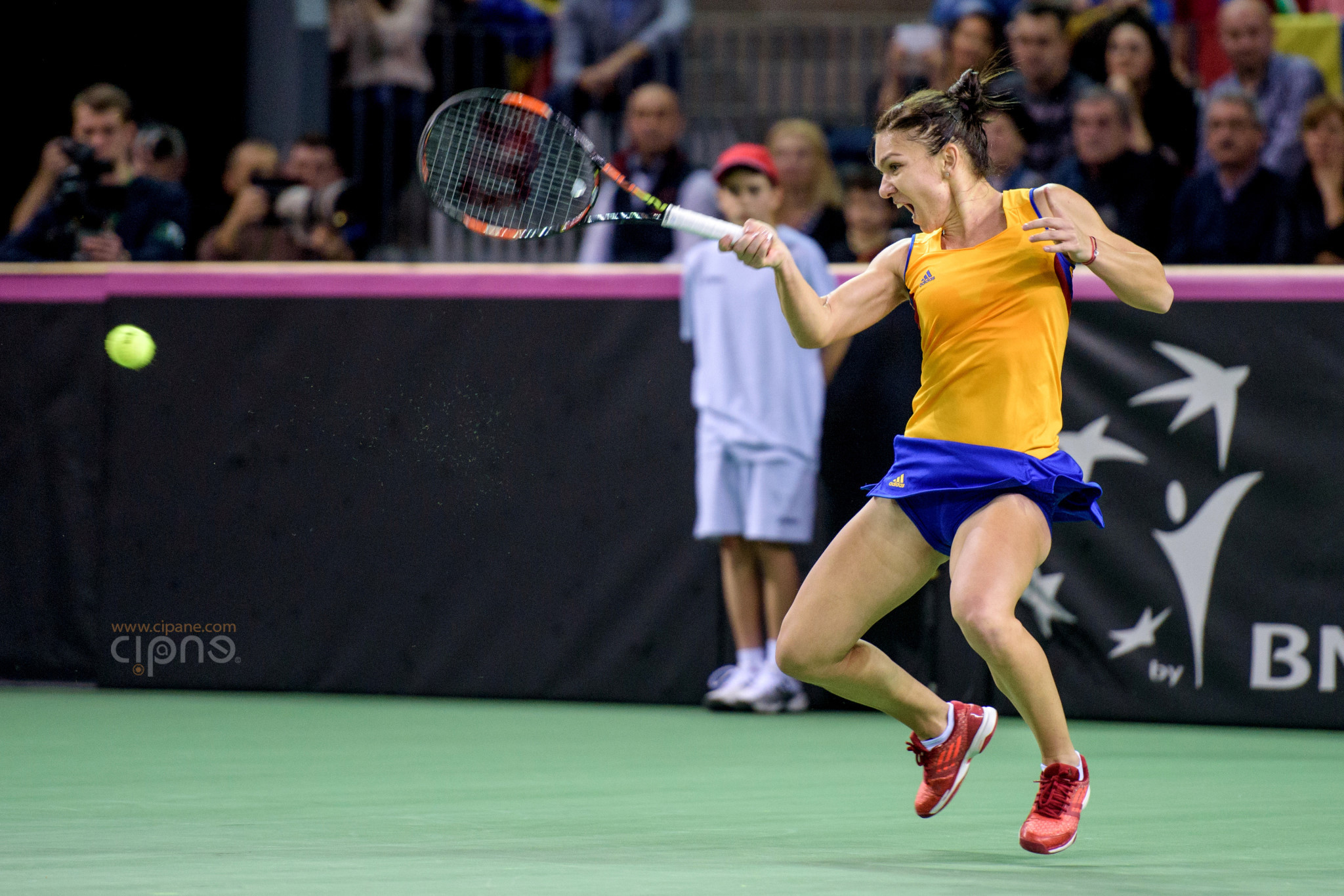 FedCup - România-Cehia - Simona Halep vs. Karolina Pliskova - 6 februarie 2016 - Sala Polivalentă, Cluj-Napoca