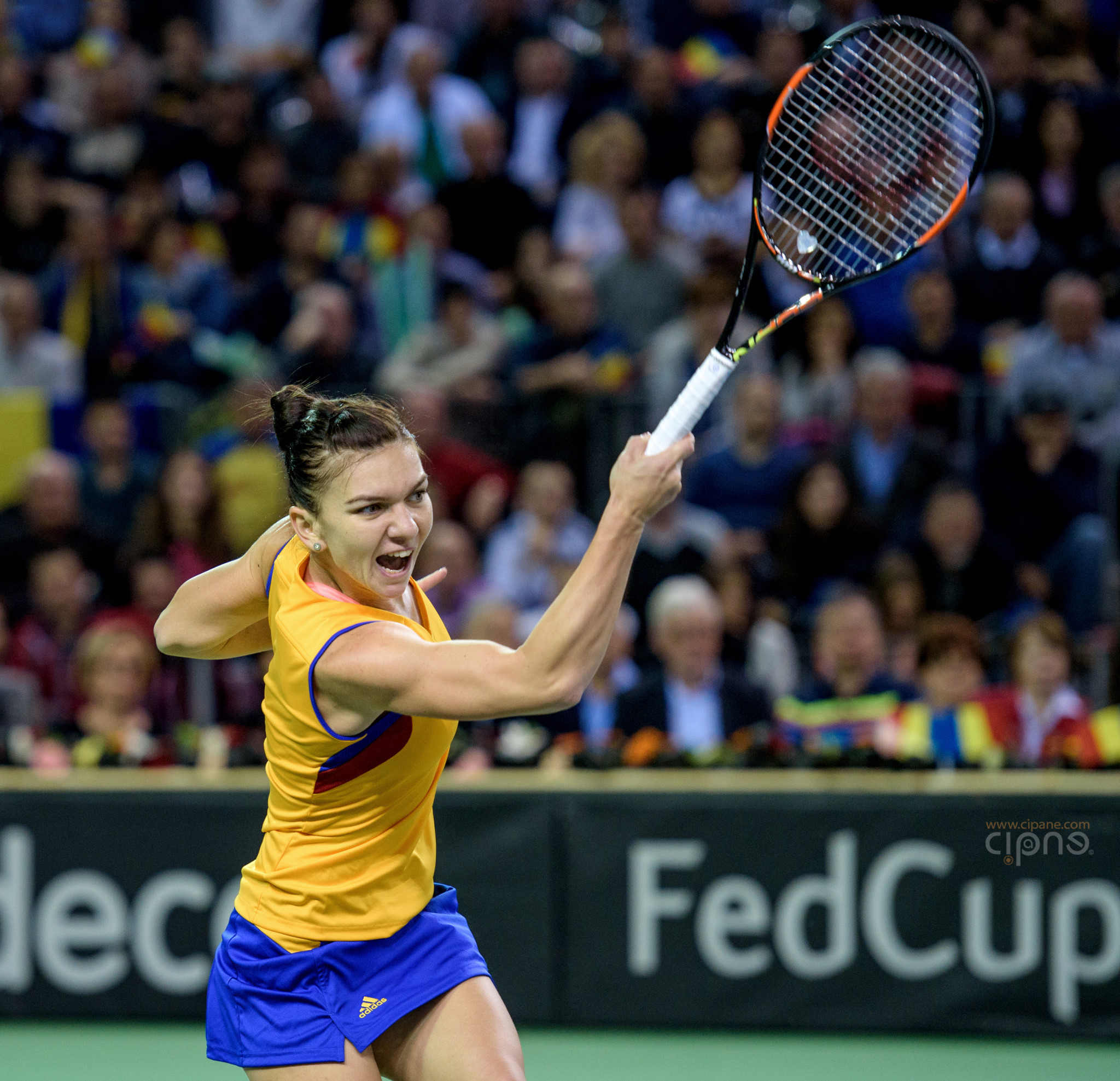 FedCup - România-Cehia - Simona Halep vs. Karolina Pliskova - 6 februarie 2016 - Sala Polivalentă, Cluj-Napoca