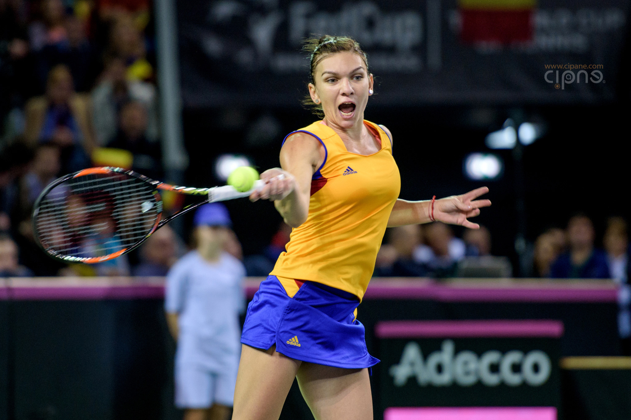 FedCup - România-Cehia - Simona Halep vs. Karolina Pliskova - 6 februarie 2016 - Sala Polivalentă, Cluj-Napoca