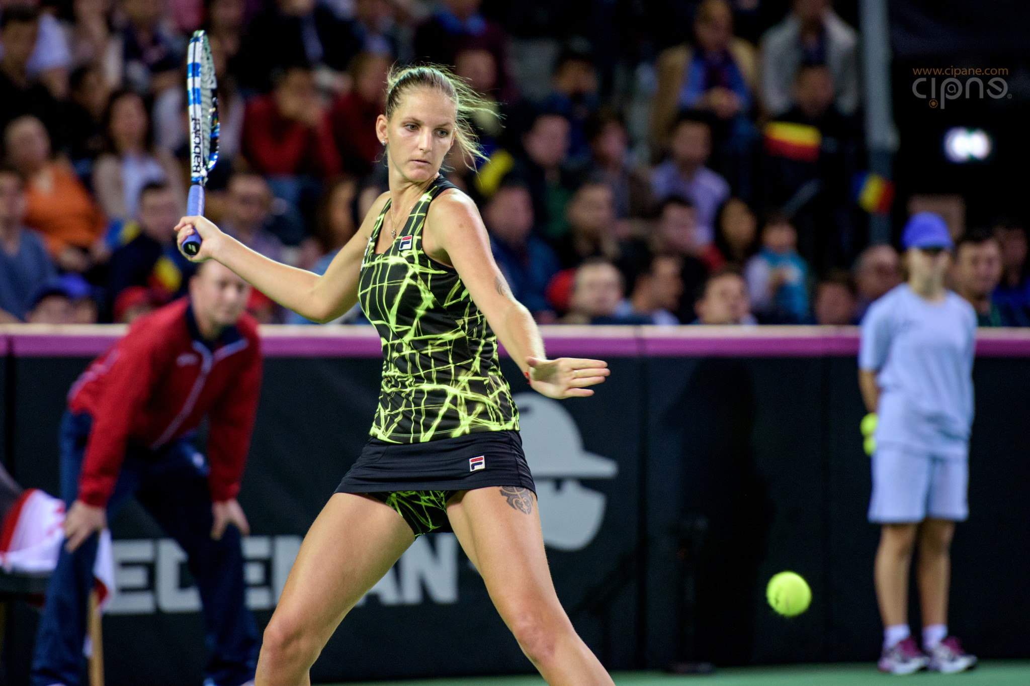 FedCup - România-Cehia - Simona Halep vs. Karolina Pliskova - 6 februarie 2016 - Sala Polivalentă, Cluj-Napoca