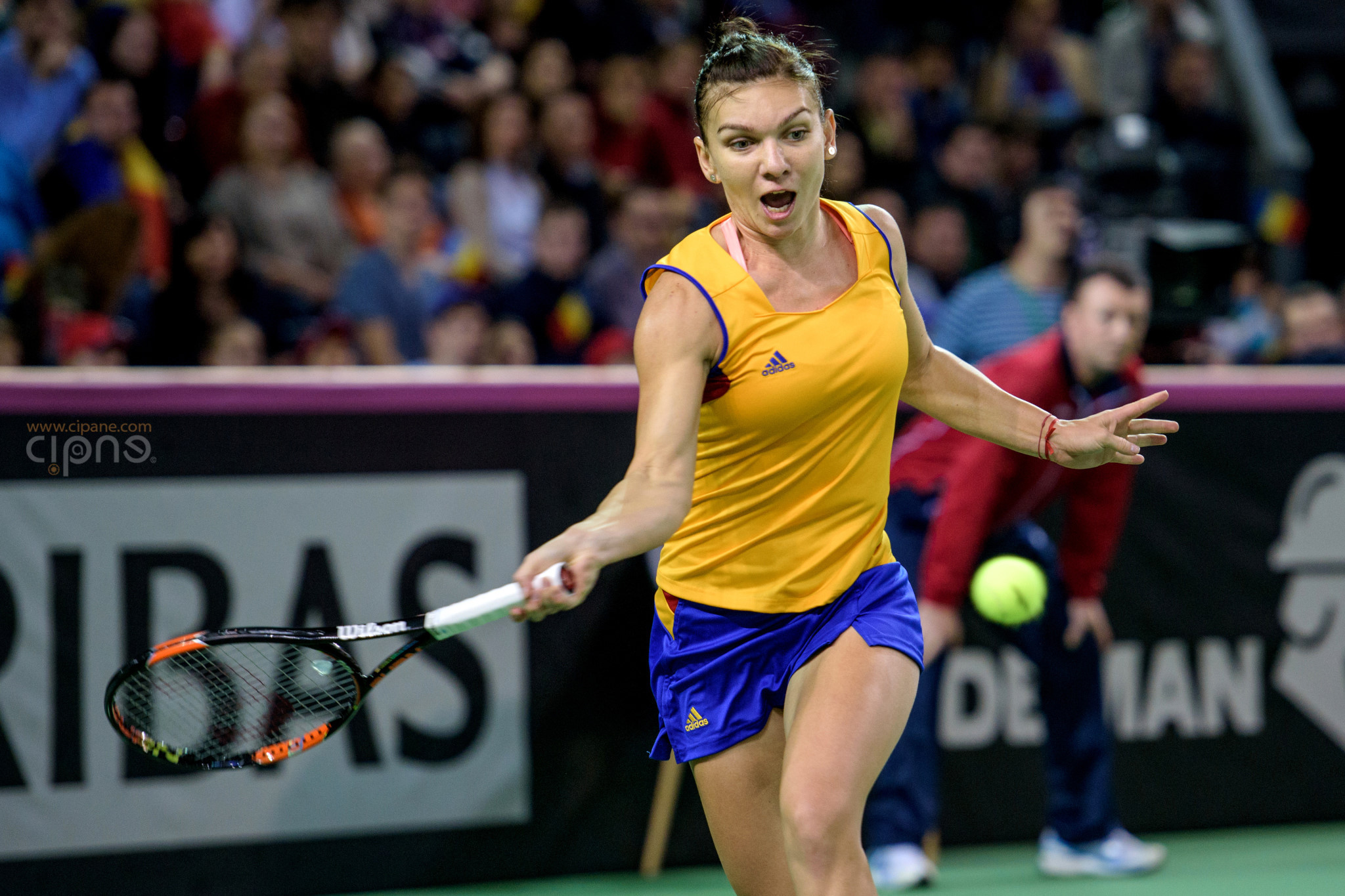 FedCup - România-Cehia - Simona Halep vs. Karolina Pliskova - 6 februarie 2016 - Sala Polivalentă, Cluj-Napoca