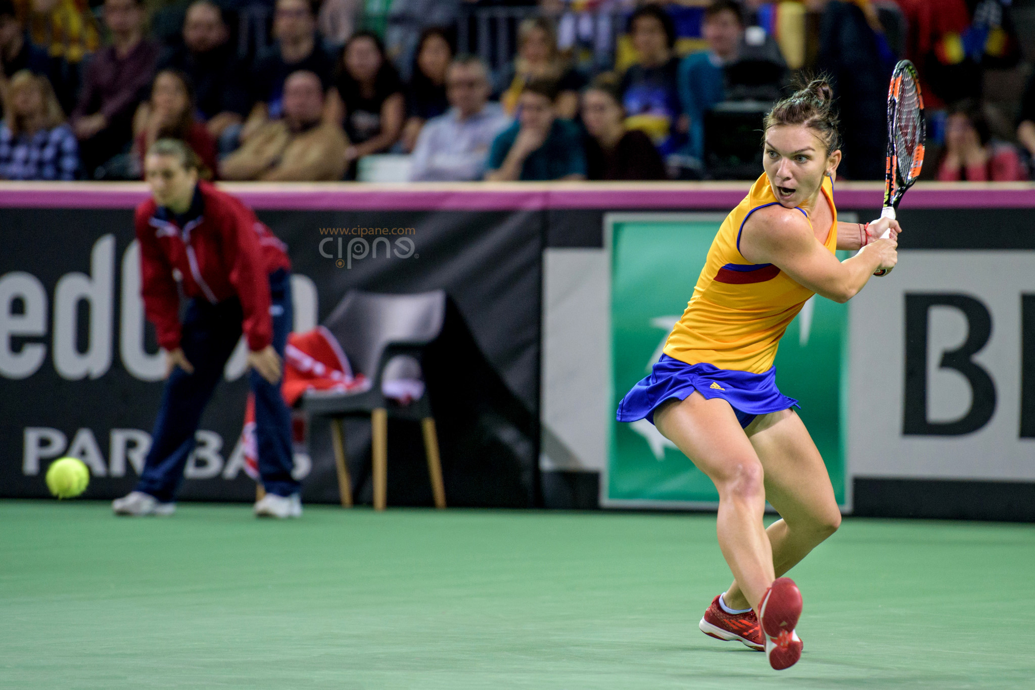 FedCup - România-Cehia - Simona Halep vs. Karolina Pliskova - 6 februarie 2016 - Sala Polivalentă, Cluj-Napoca