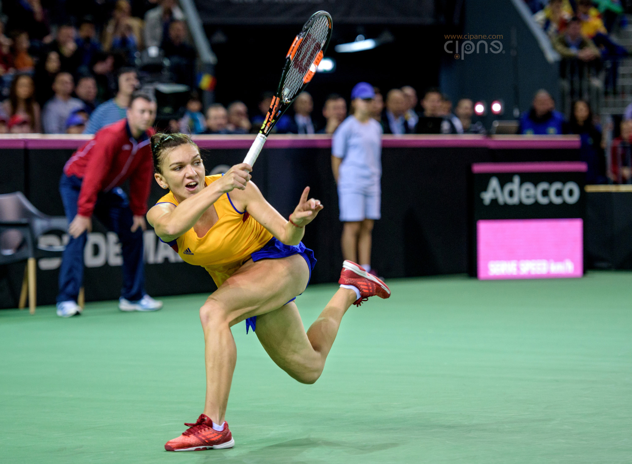FedCup - România-Cehia - Simona Halep vs. Karolina Pliskova - 6 februarie 2016 - Sala Polivalentă, Cluj-Napoca