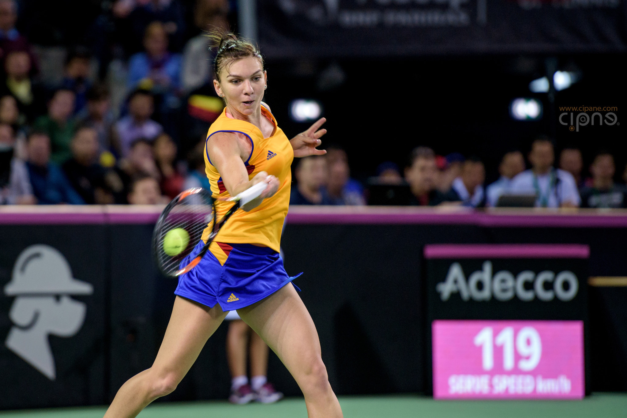FedCup - România-Cehia - Simona Halep vs. Karolina Pliskova - 6 februarie 2016 - Sala Polivalentă, Cluj-Napoca
