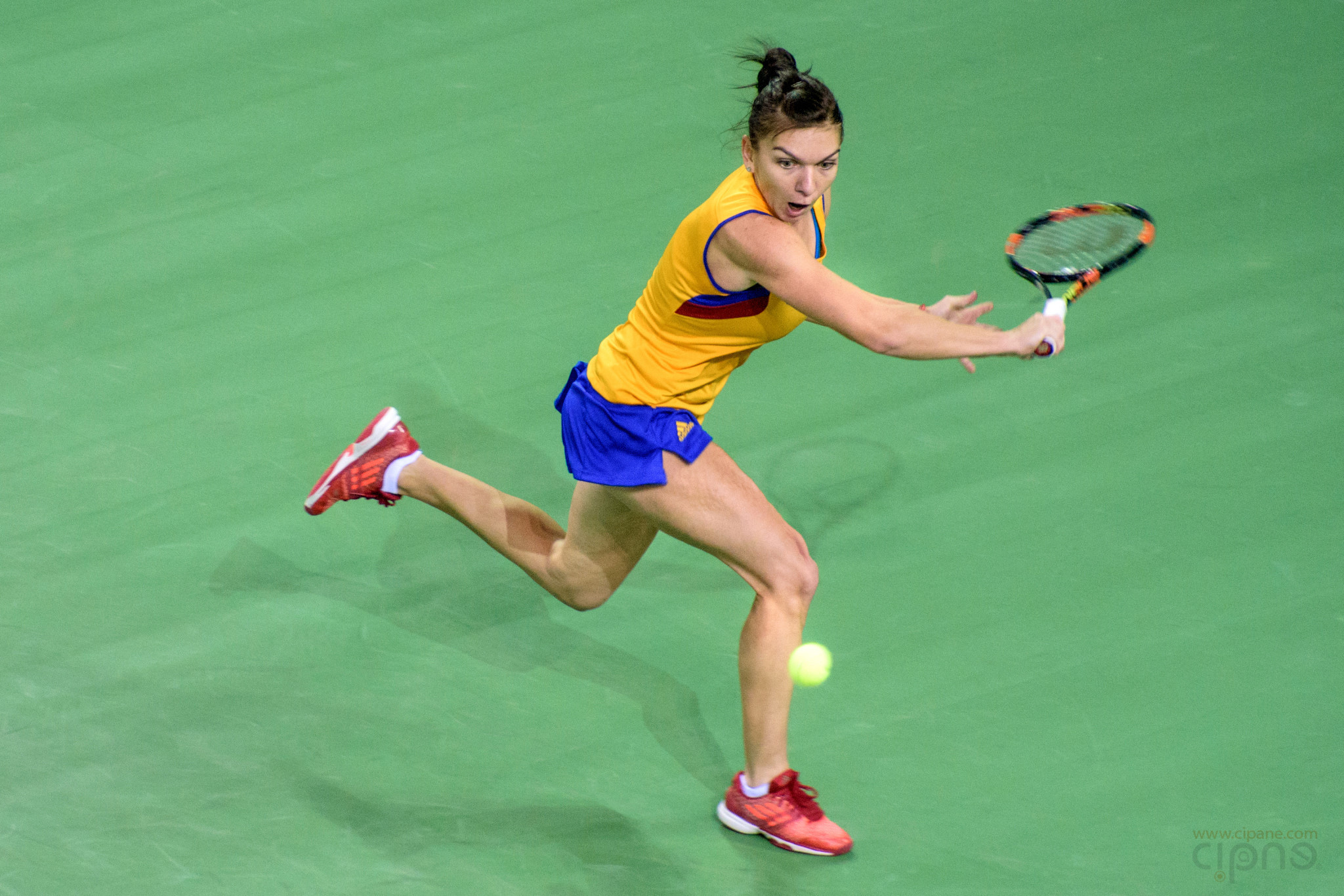 FedCup - România-Cehia - Simona Halep vs. Karolina Pliskova - 6 februarie 2016 - Sala Polivalentă, Cluj-Napoca
