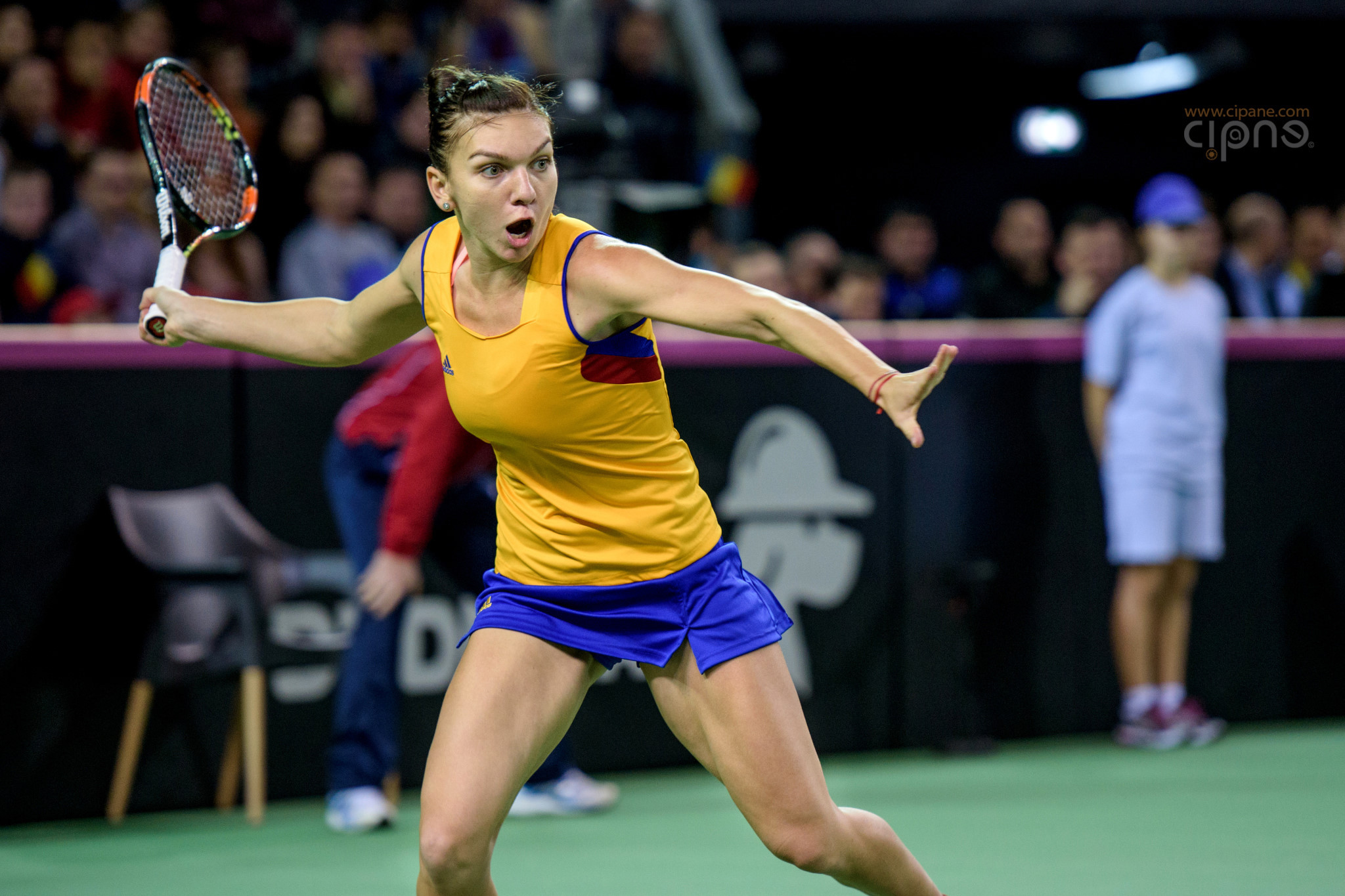 FedCup - România-Cehia - Simona Halep vs. Karolina Pliskova - 6 februarie 2016 - Sala Polivalentă, Cluj-Napoca
