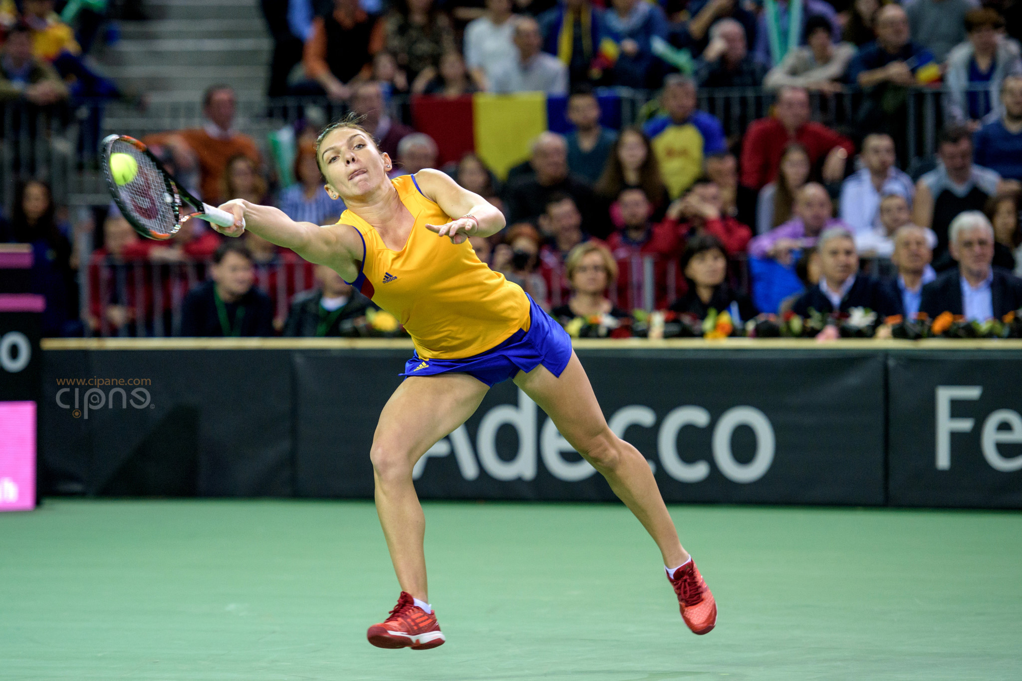 FedCup - România-Cehia - Simona Halep vs. Karolina Pliskova - 6 februarie 2016 - Sala Polivalentă, Cluj-Napoca