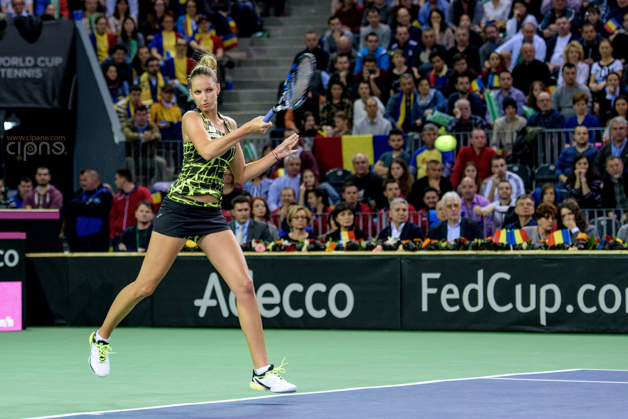 FedCup - România-Cehia - Simona Halep vs. Karolina Pliskova - 6 februarie 2016 - Sala Polivalentă, Cluj-Napoca