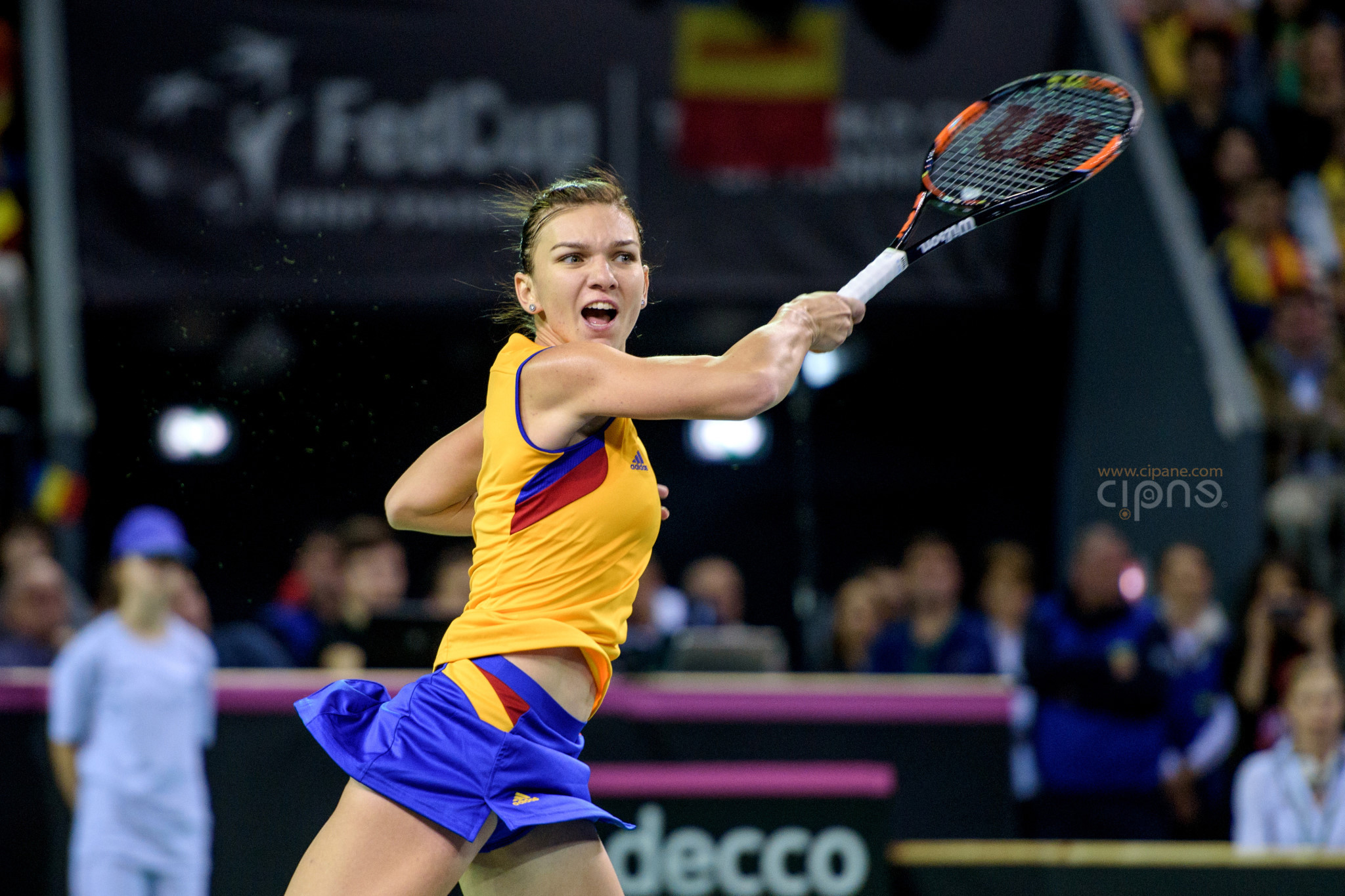 FedCup - România-Cehia - Simona Halep vs. Karolina Pliskova - 6 februarie 2016 - Sala Polivalentă, Cluj-Napoca