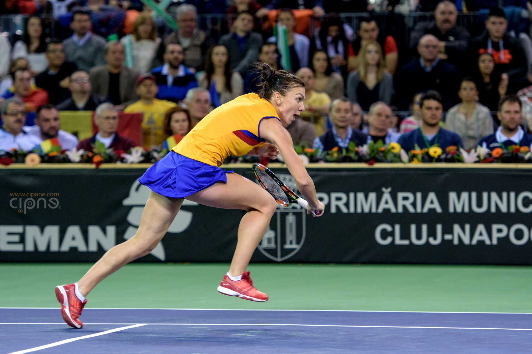 FedCup - România-Cehia - Simona Halep vs. Karolina Pliskova - 6 februarie 2016 - Sala Polivalentă, Cluj-Napoca