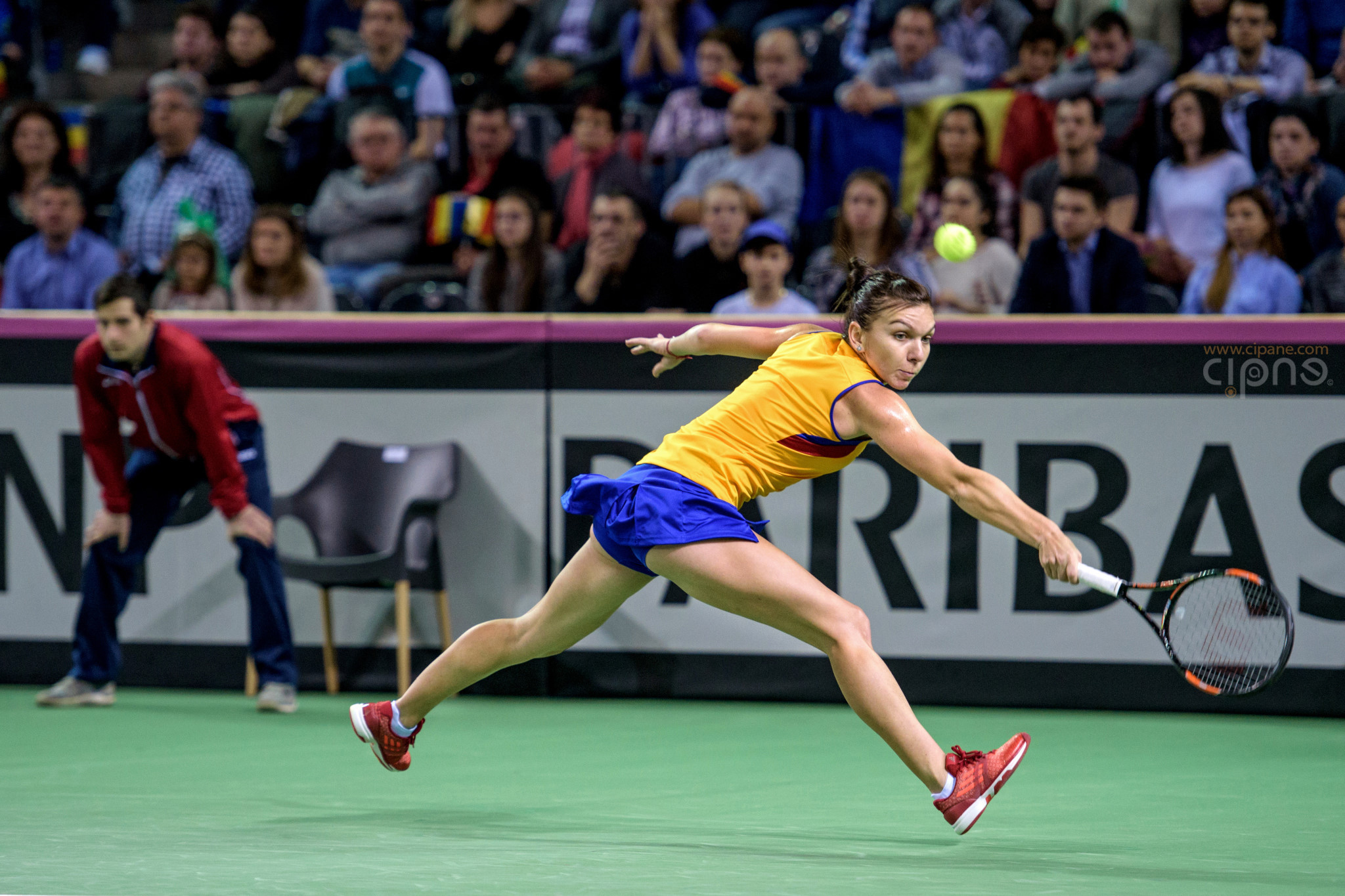 FedCup - România-Cehia - Simona Halep vs. Karolina Pliskova - 6 februarie 2016 - Sala Polivalentă, Cluj-Napoca