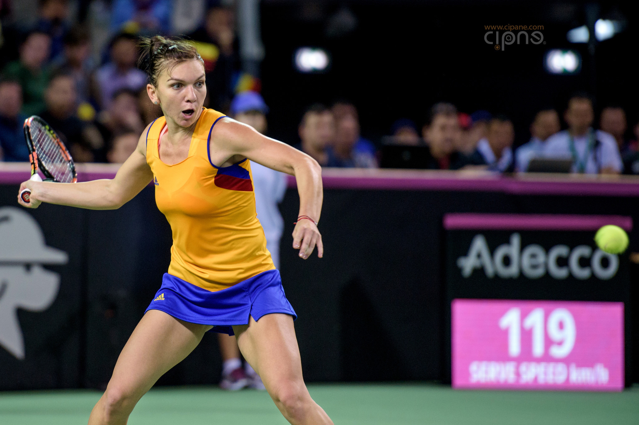 FedCup - România-Cehia - Simona Halep vs. Karolina Pliskova - 6 februarie 2016 - Sala Polivalentă, Cluj-Napoca