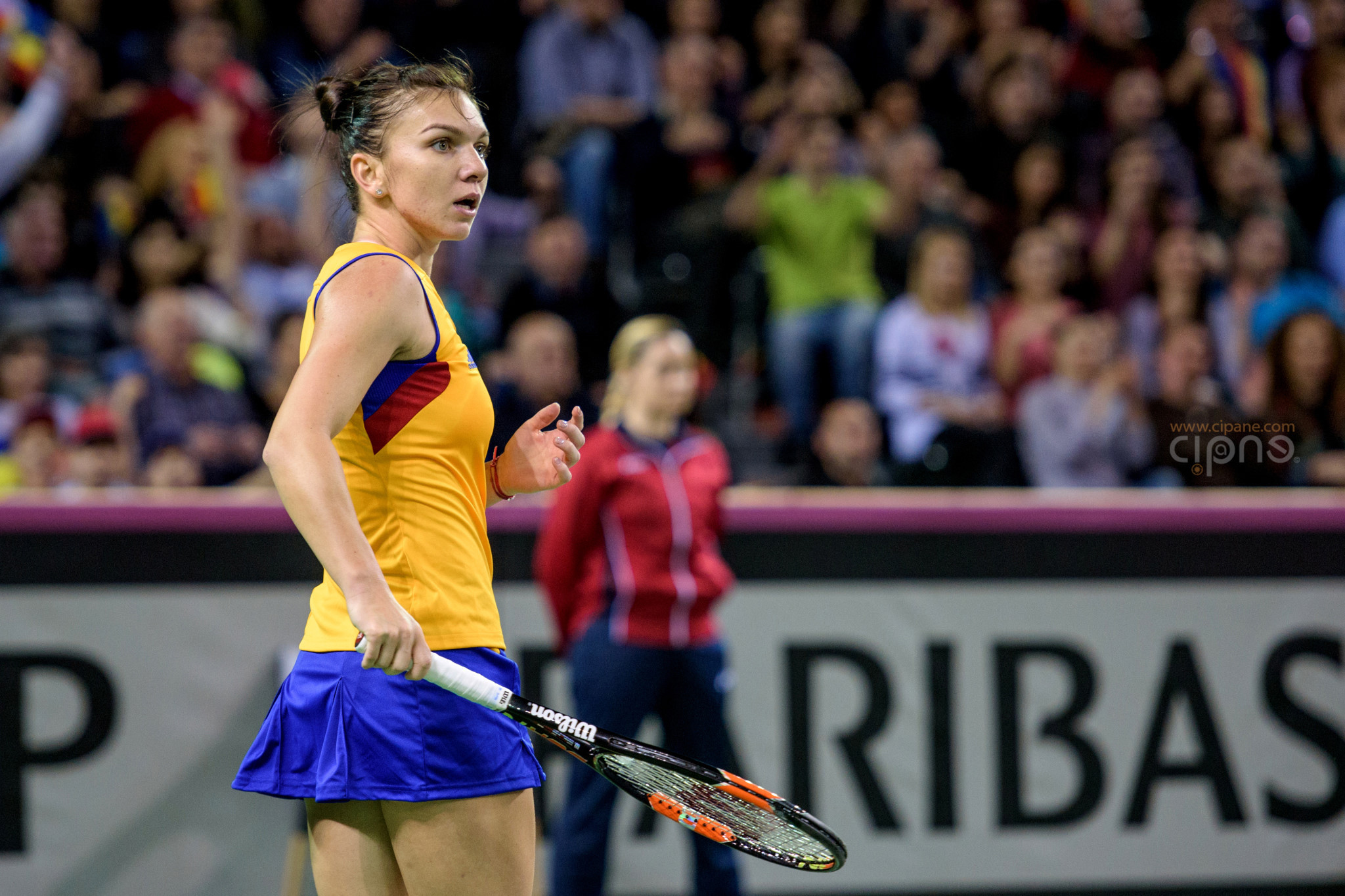 FedCup - România-Cehia - Simona Halep vs. Karolina Pliskova - 6 februarie 2016 - Sala Polivalentă, Cluj-Napoca