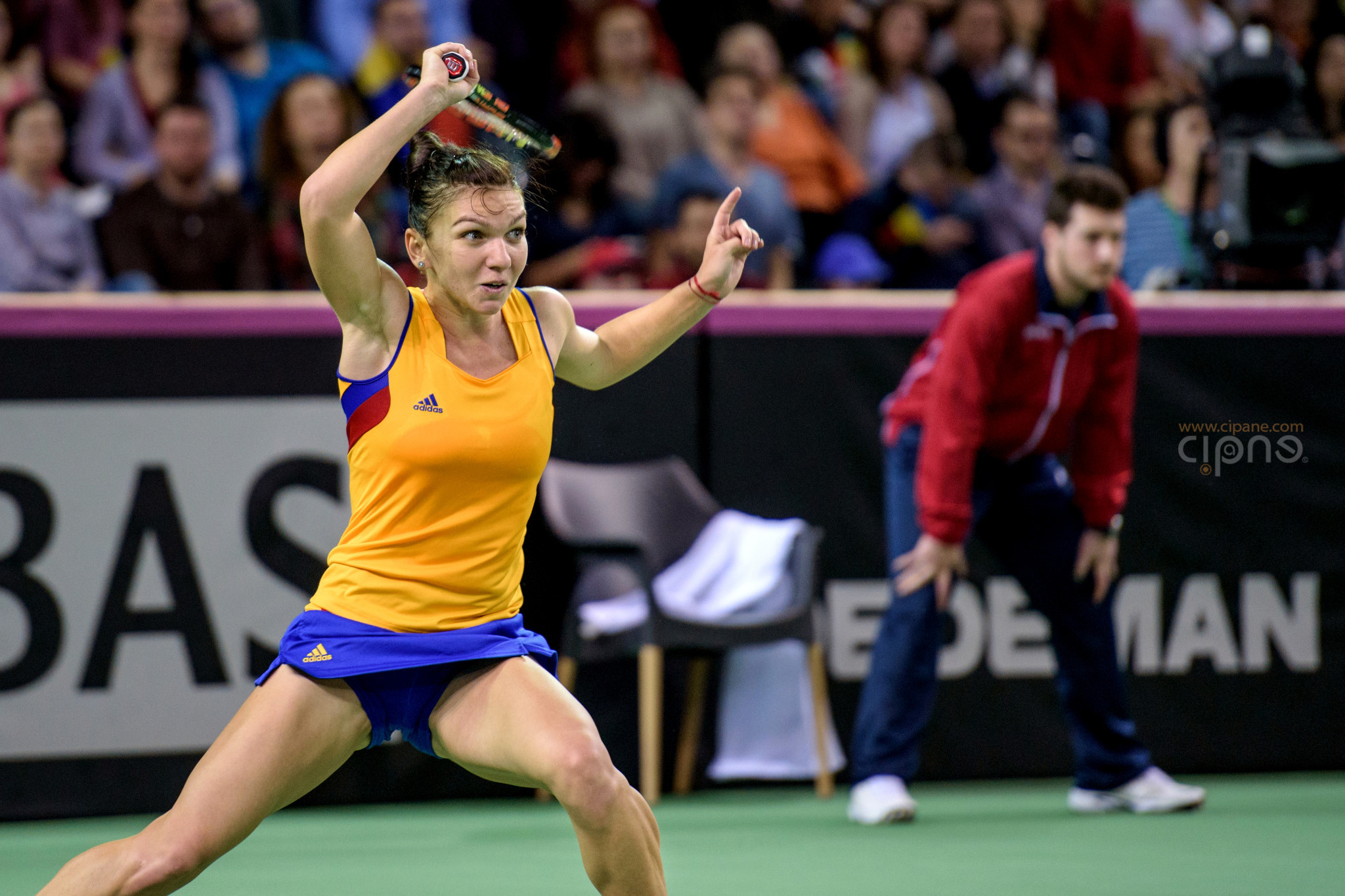 FedCup - România-Cehia - Simona Halep vs. Karolina Pliskova - 6 februarie 2016 - Sala Polivalentă, Cluj-Napoca
