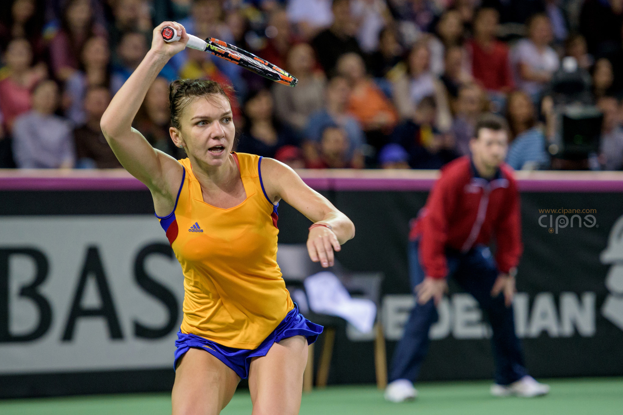 FedCup - România-Cehia - Simona Halep vs. Karolina Pliskova - 6 februarie 2016 - Sala Polivalentă, Cluj-Napoca