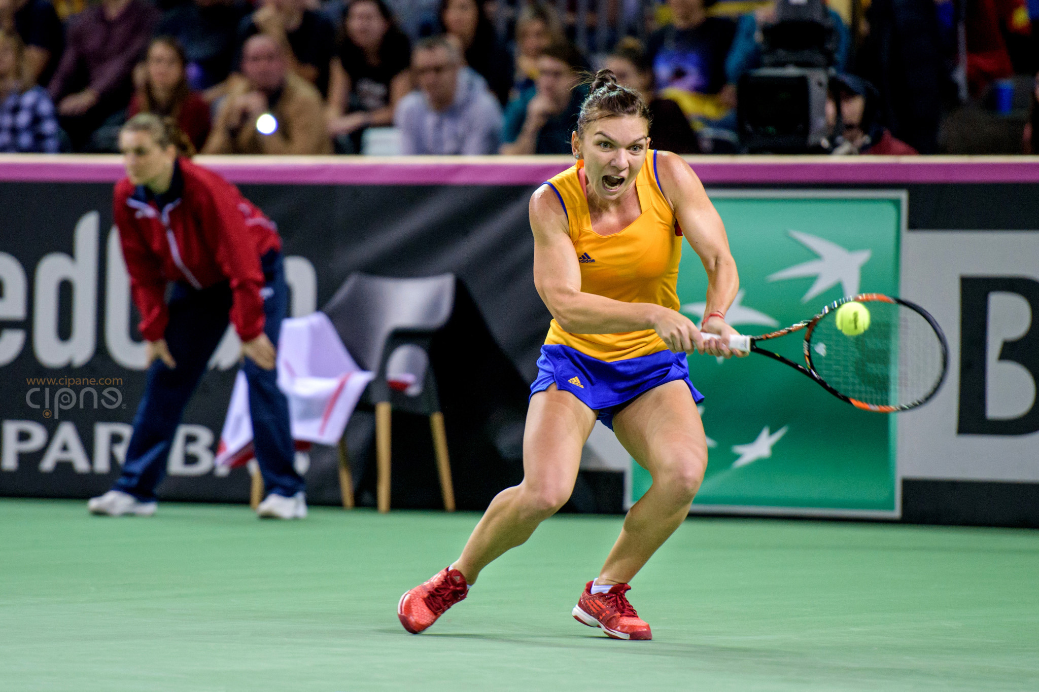 FedCup - România-Cehia - Simona Halep vs. Karolina Pliskova - 6 februarie 2016 - Sala Polivalentă, Cluj-Napoca