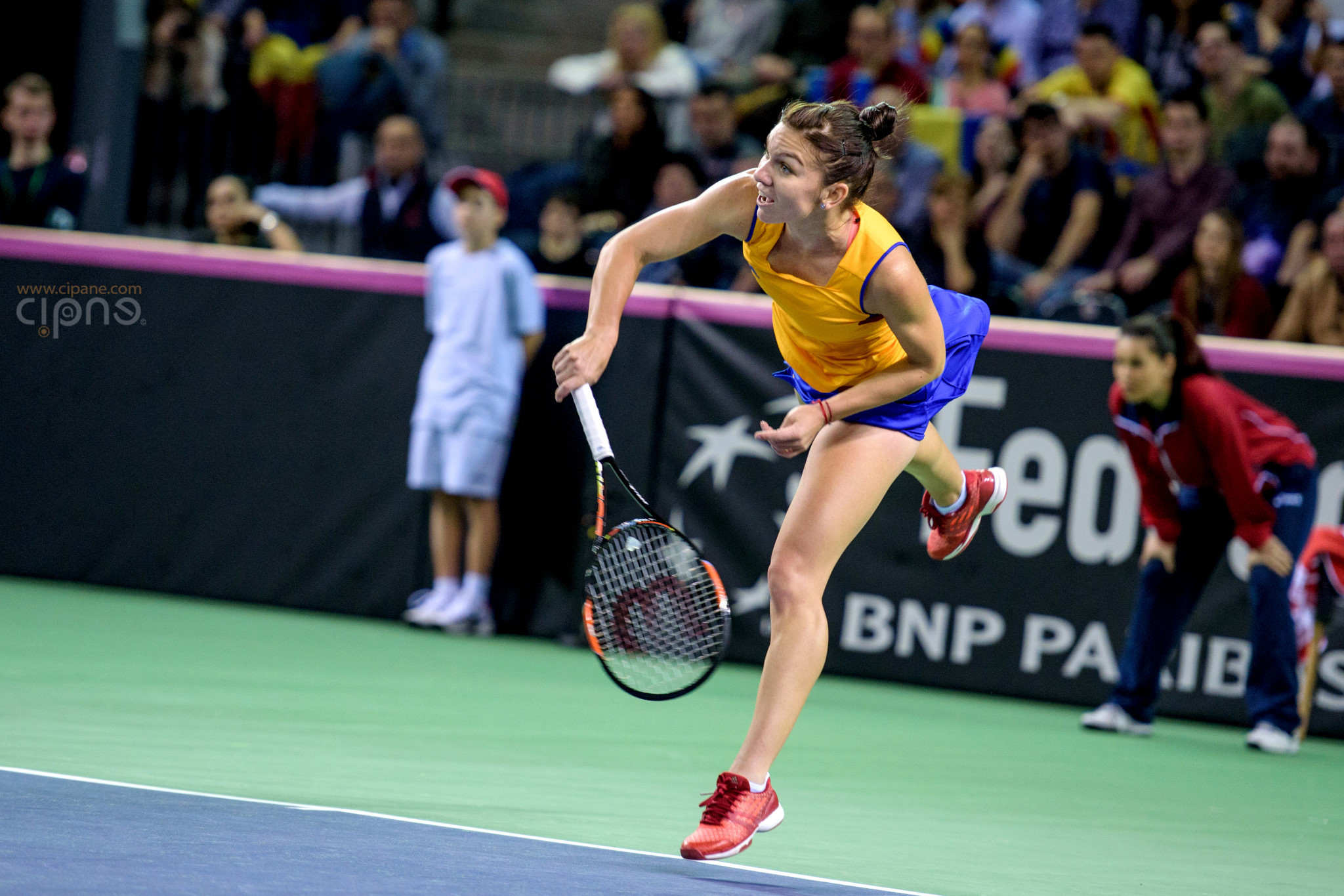 FedCup - România-Cehia - Simona Halep vs. Karolina Pliskova - 6 februarie 2016 - Sala Polivalentă, Cluj-Napoca