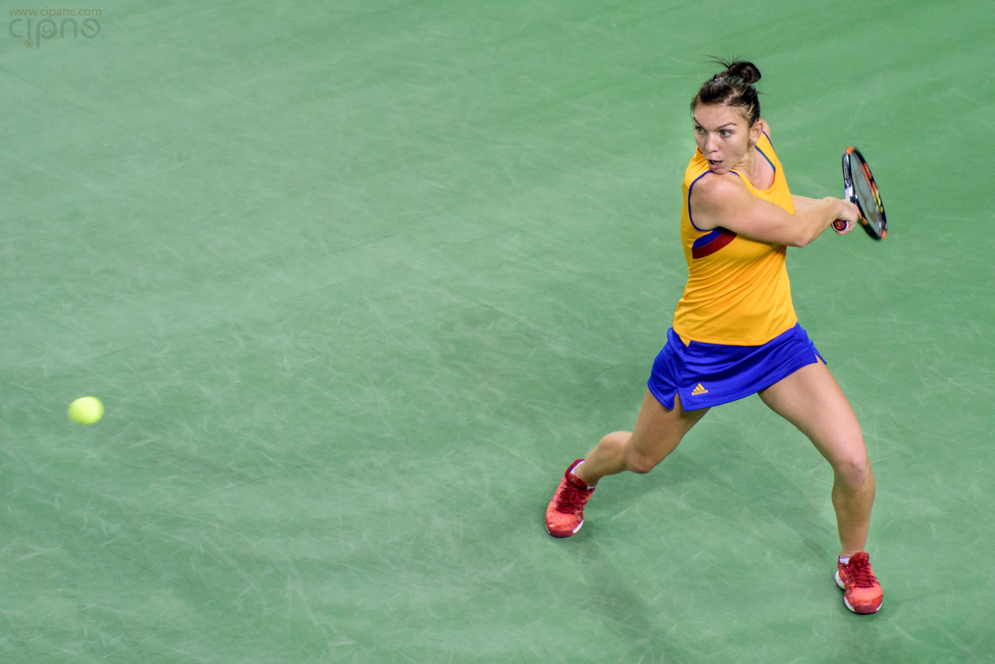 FedCup - România-Cehia - Simona Halep vs. Karolina Pliskova - 6 februarie 2016 - Sala Polivalentă, Cluj-Napoca