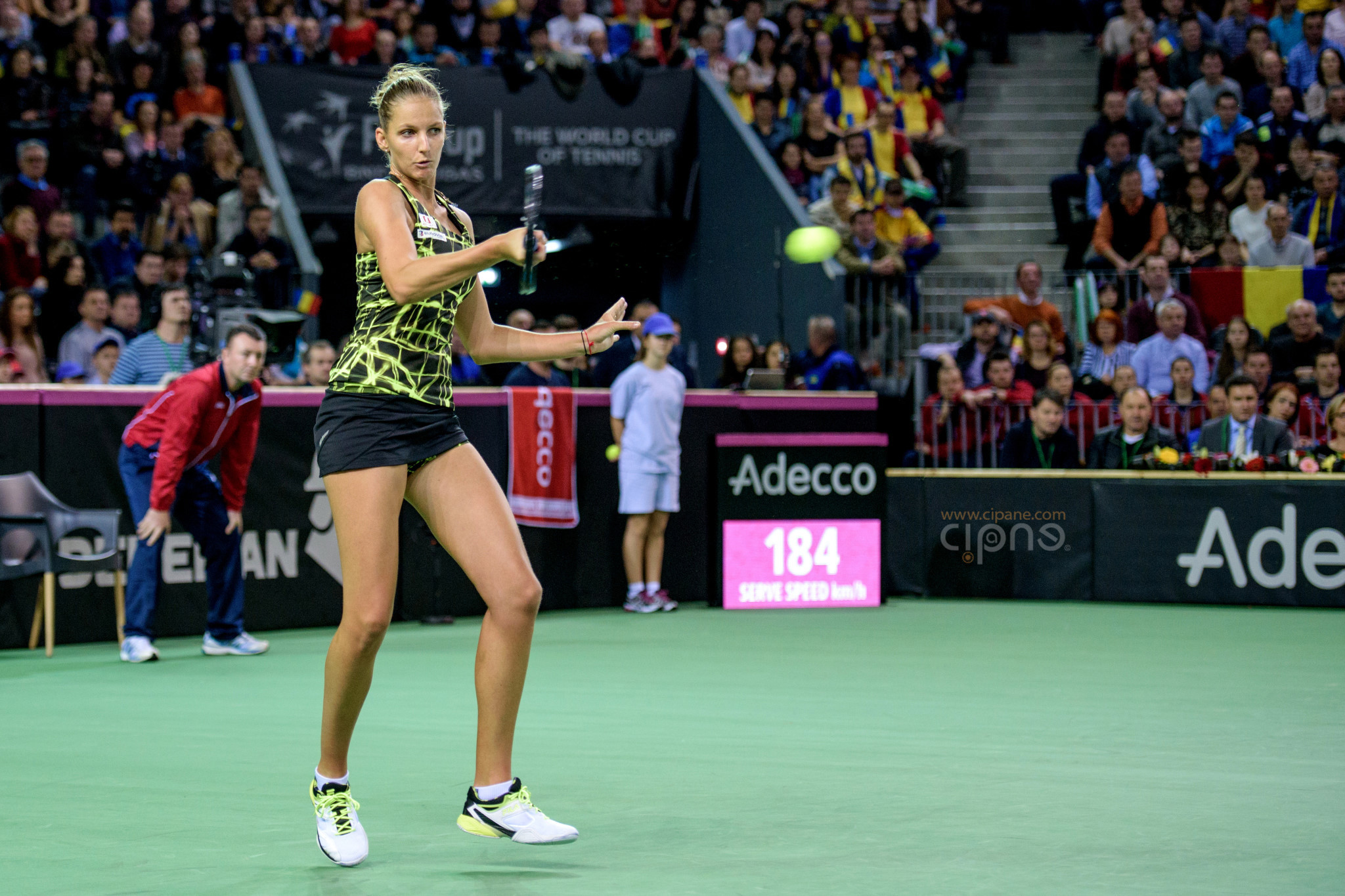 FedCup - România-Cehia - Simona Halep vs. Karolina Pliskova - 6 februarie 2016 - Sala Polivalentă, Cluj-Napoca