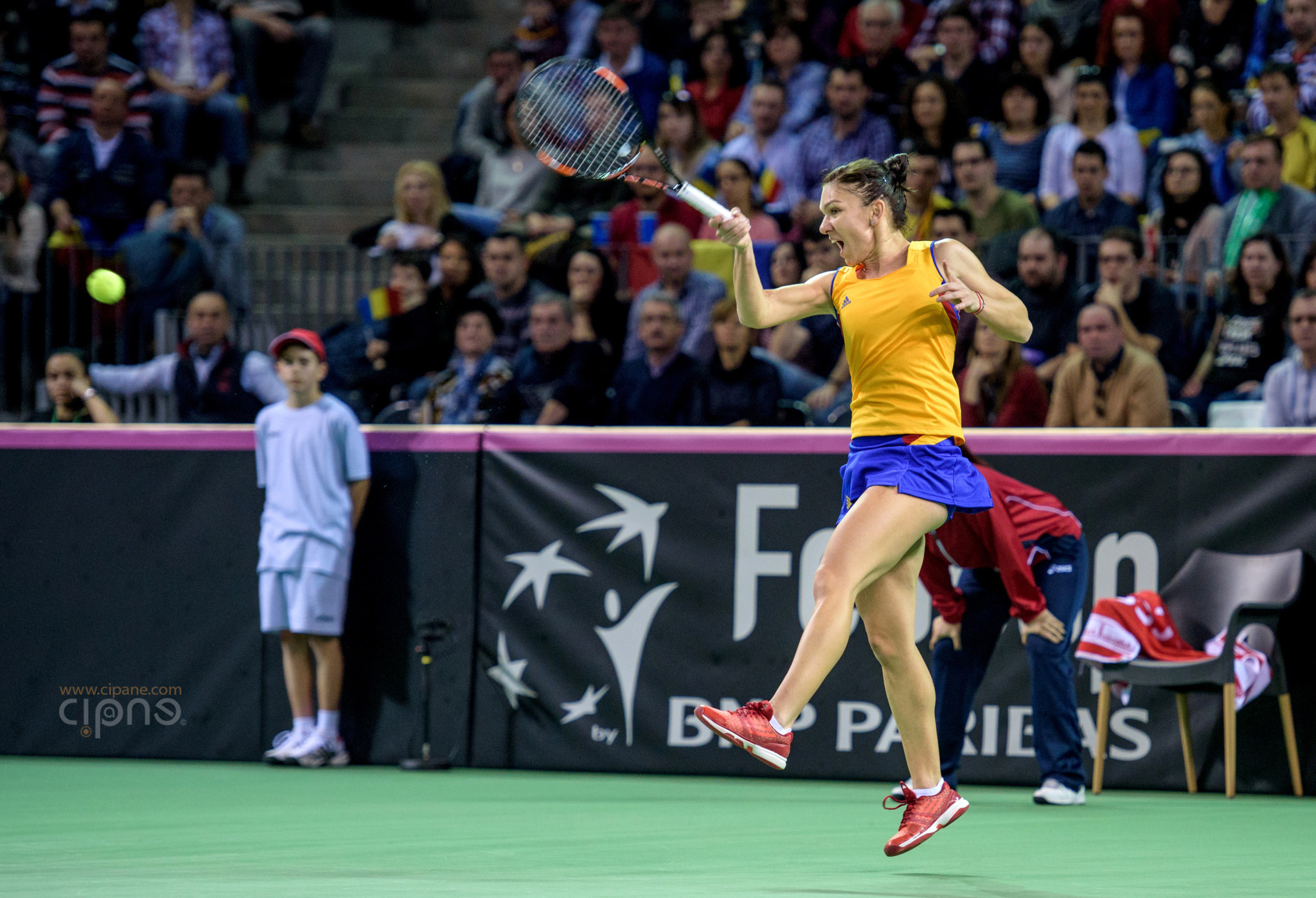 FedCup - România-Cehia - Simona Halep vs. Karolina Pliskova - 6 februarie 2016 - Sala Polivalentă, Cluj-Napoca