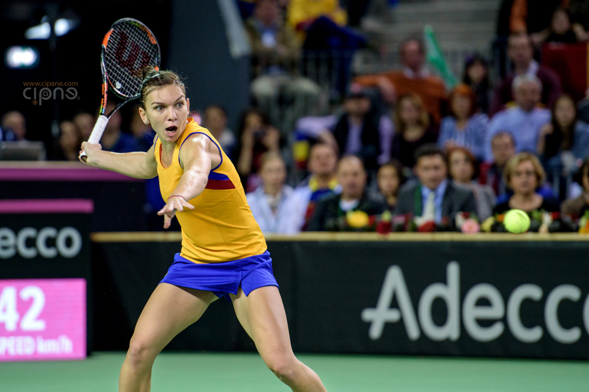 FedCup - România-Cehia - Simona Halep vs. Karolina Pliskova - 6 februarie 2016 - Sala Polivalentă, Cluj-Napoca