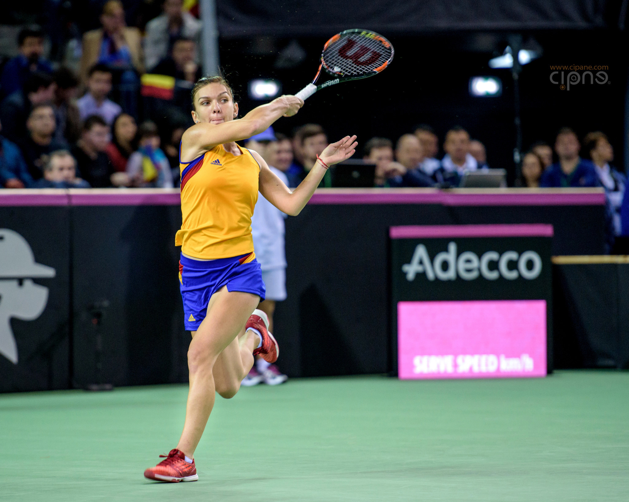 FedCup - România-Cehia - Simona Halep vs. Karolina Pliskova - 6 februarie 2016 - Sala Polivalentă, Cluj-Napoca