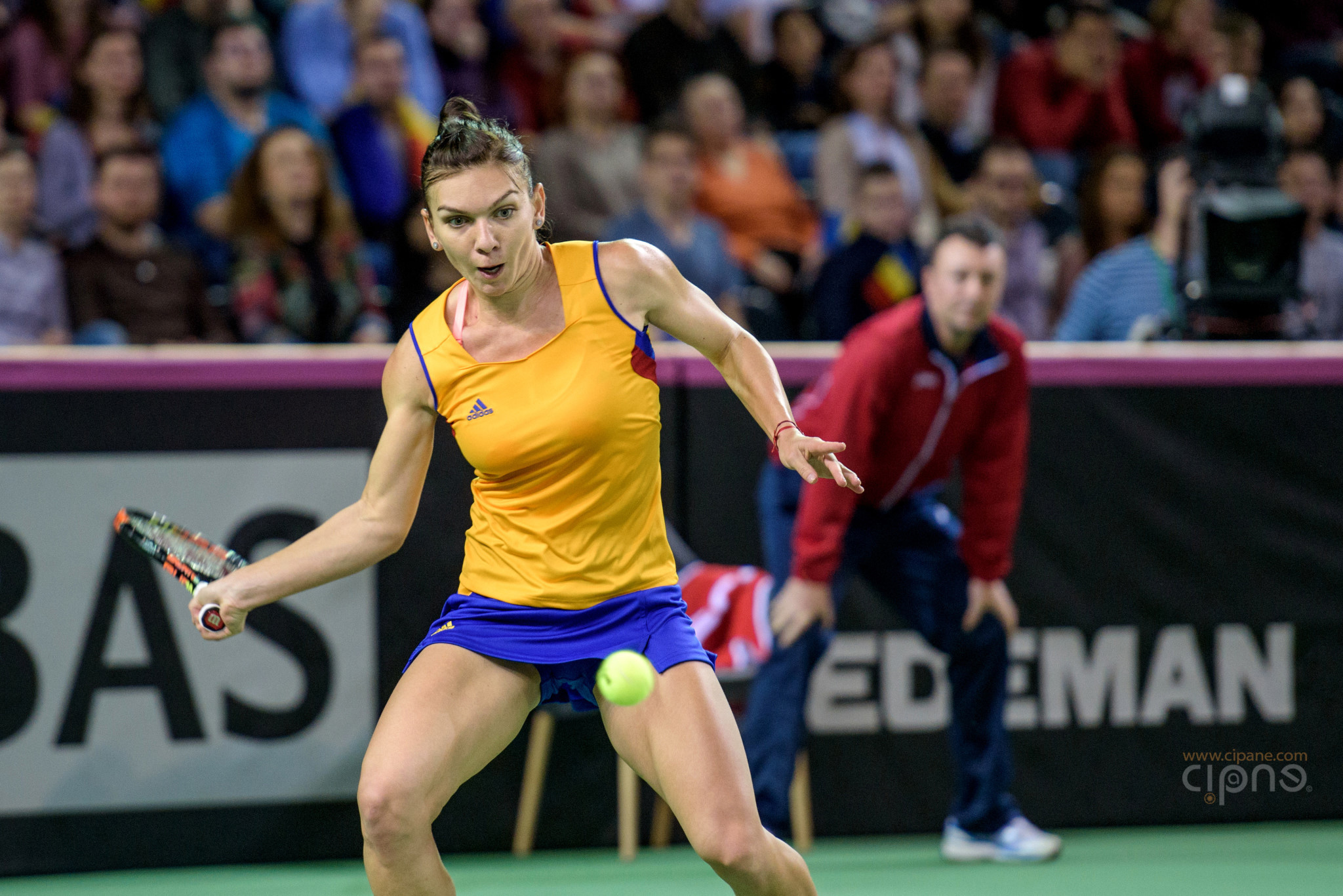 FedCup - România-Cehia - Simona Halep vs. Karolina Pliskova - 6 februarie 2016 - Sala Polivalentă, Cluj-Napoca