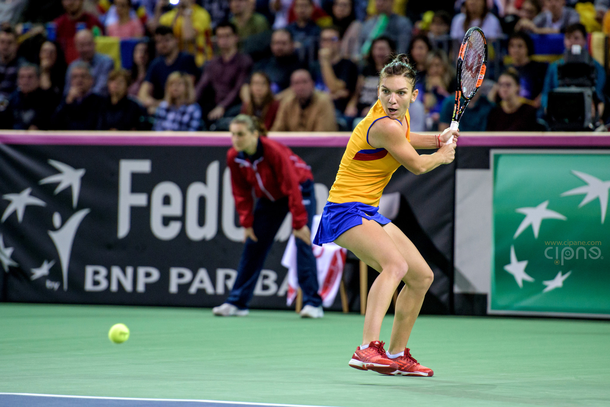 FedCup - România-Cehia - Simona Halep vs. Karolina Pliskova - 6 februarie 2016 - Sala Polivalentă, Cluj-Napoca