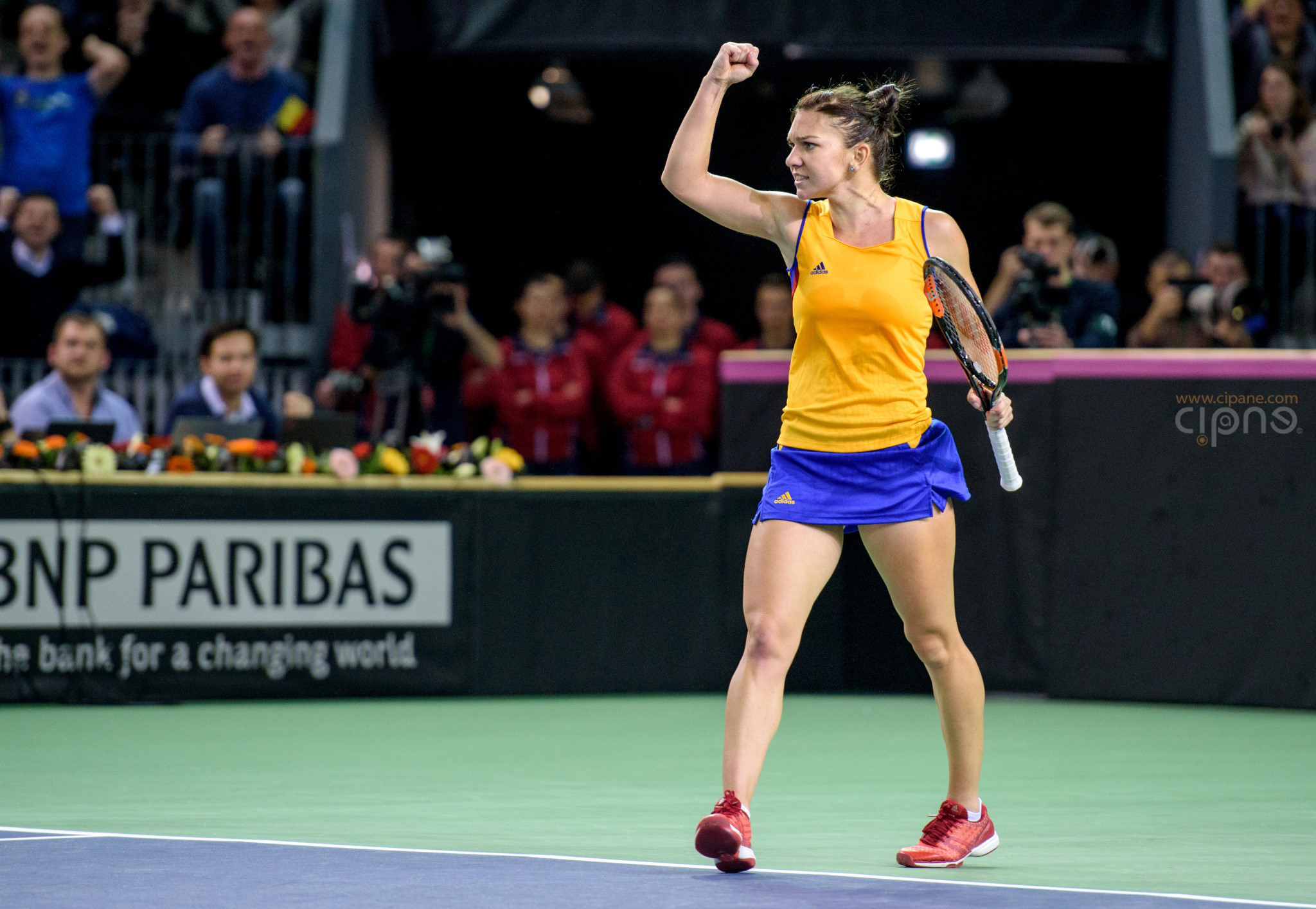FedCup - România-Cehia - Simona Halep vs. Karolina Pliskova - 6 februarie 2016 - Sala Polivalentă, Cluj-Napoca