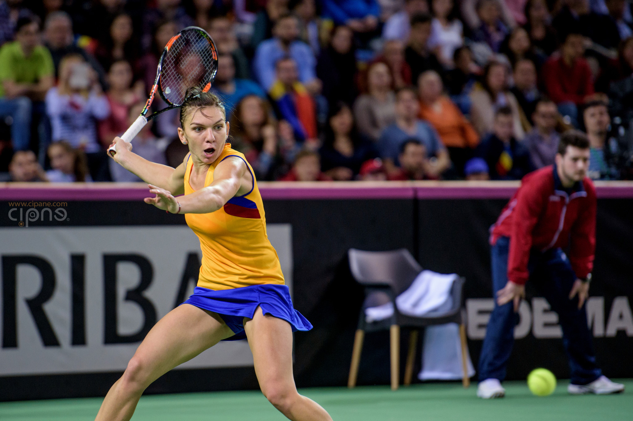 FedCup - România-Cehia - Simona Halep vs. Karolina Pliskova - 6 februarie 2016 - Sala Polivalentă, Cluj-Napoca