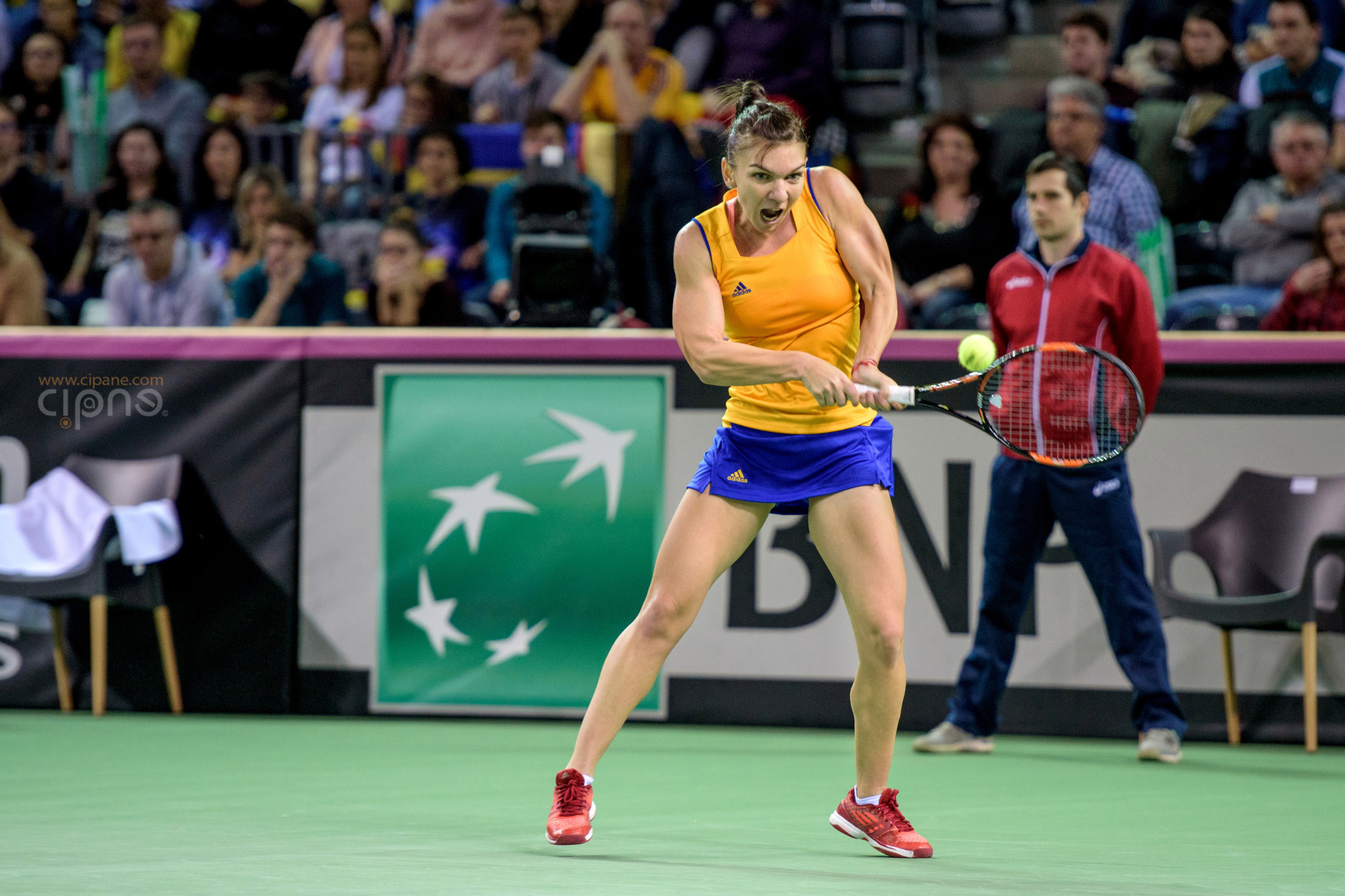 FedCup - România-Cehia - Simona Halep vs. Karolina Pliskova - 6 februarie 2016 - Sala Polivalentă, Cluj-Napoca