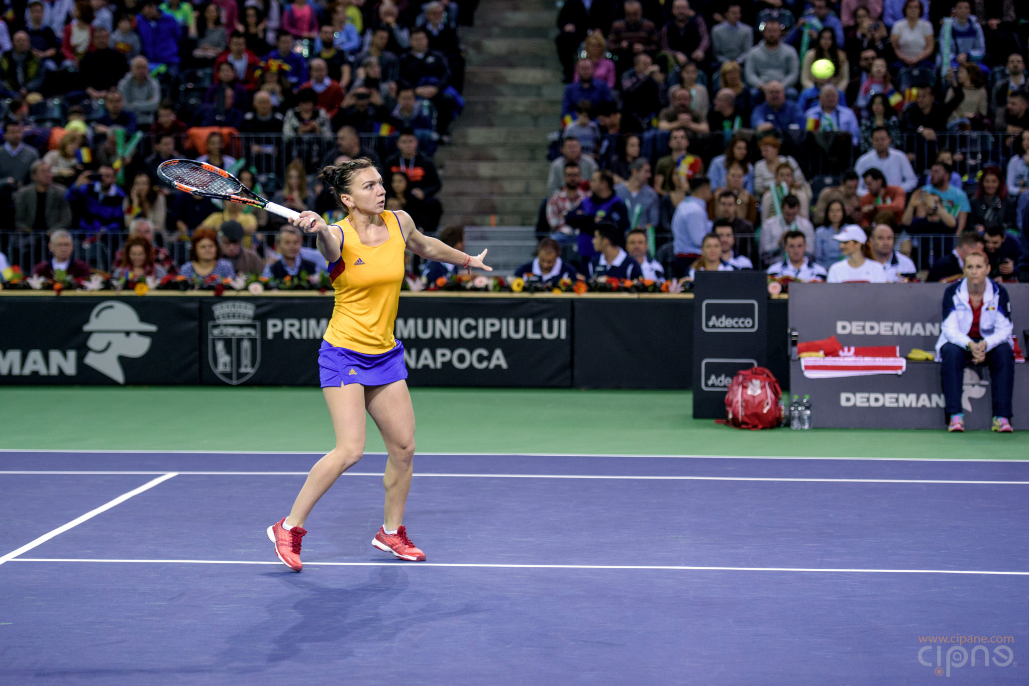 FedCup - România-Cehia - Simona Halep vs. Karolina Pliskova - 6 februarie 2016 - Sala Polivalentă, Cluj-Napoca