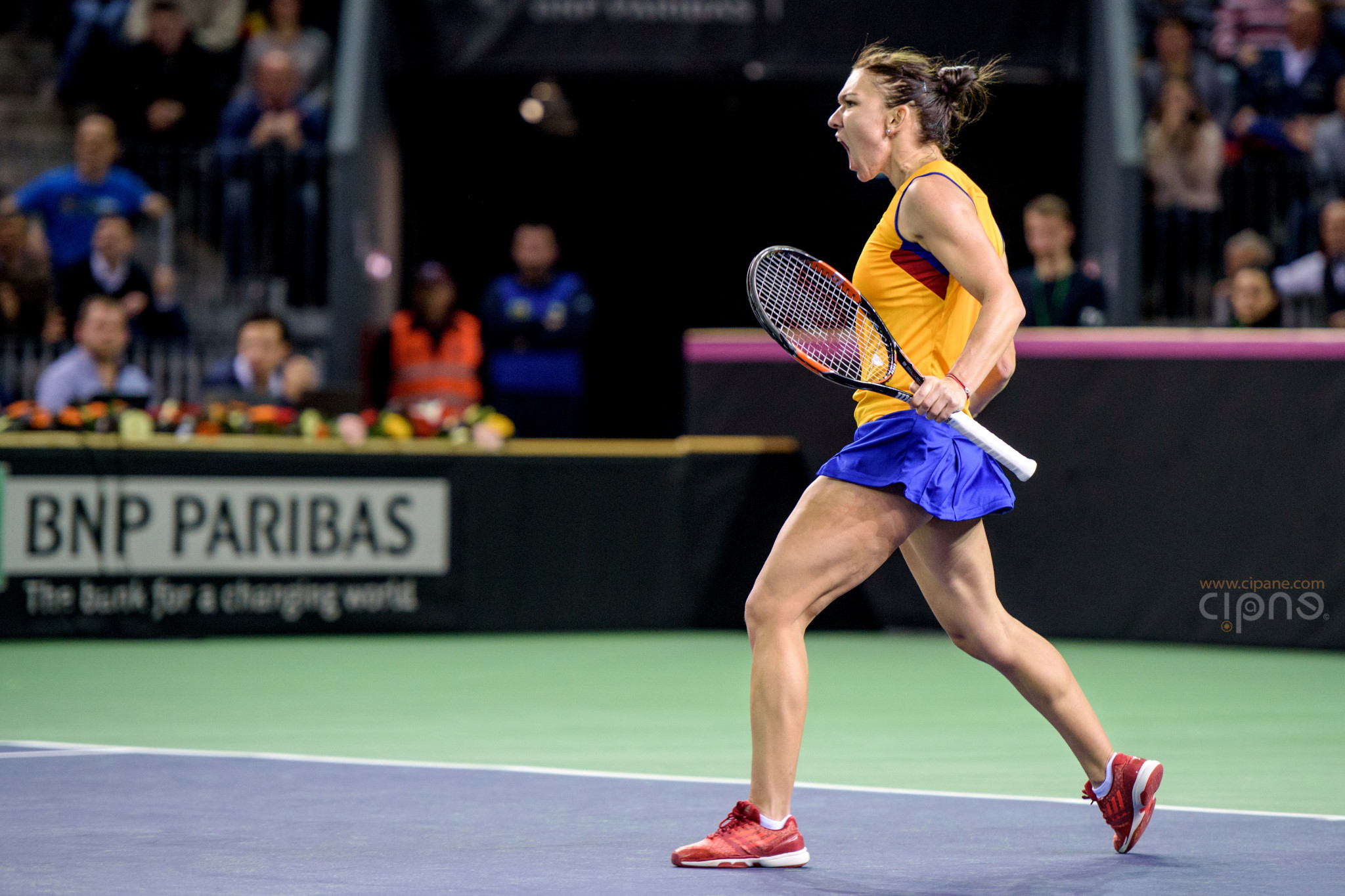 FedCup - România-Cehia - Simona Halep vs. Karolina Pliskova - 6 februarie 2016 - Sala Polivalentă, Cluj-Napoca