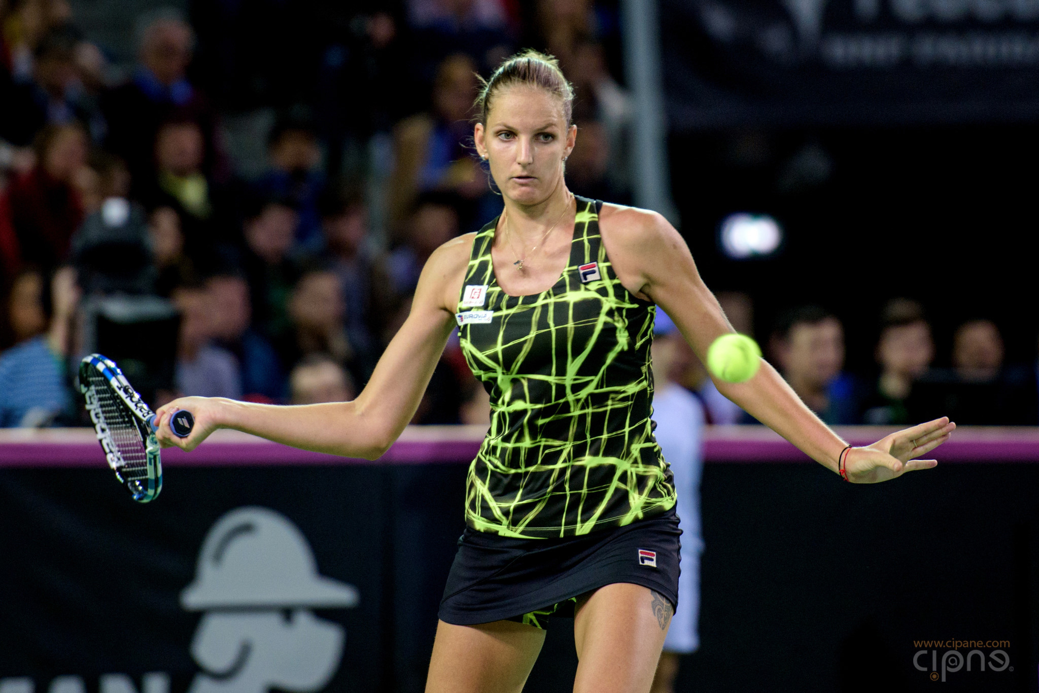 FedCup - România-Cehia - Simona Halep vs. Karolina Pliskova - 6 februarie 2016 - Sala Polivalentă, Cluj-Napoca