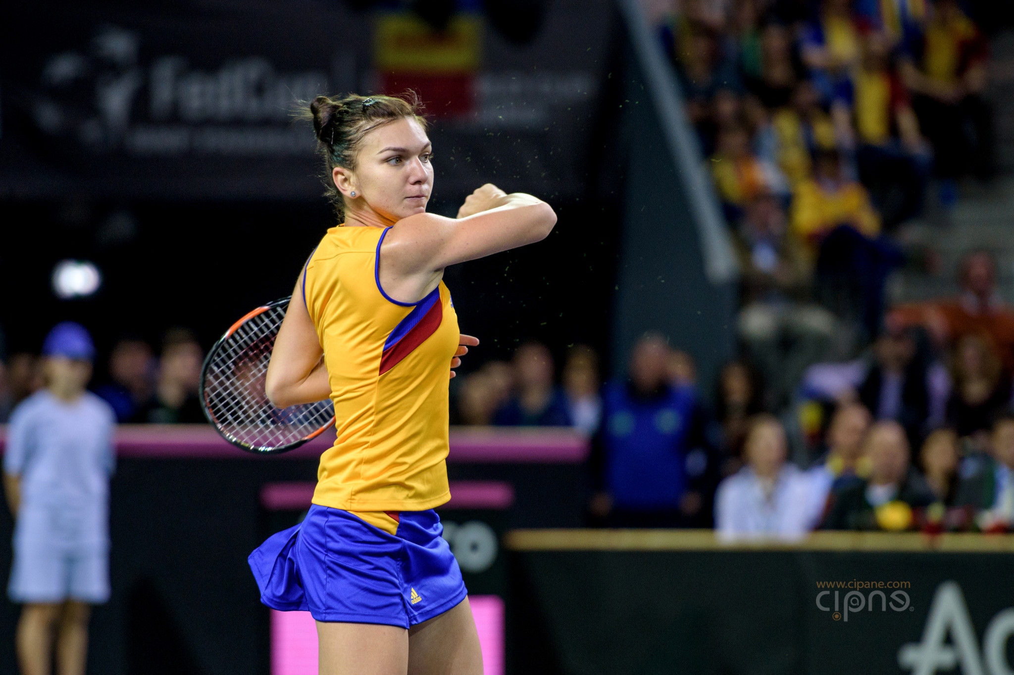 FedCup - România-Cehia - Simona Halep vs. Karolina Pliskova - 6 februarie 2016 - Sala Polivalentă, Cluj-Napoca