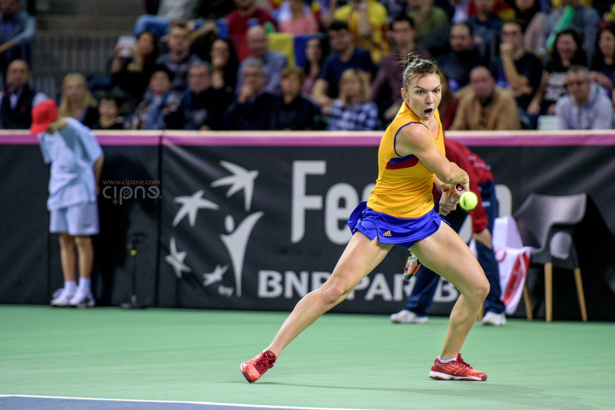 FedCup - România-Cehia - Simona Halep vs. Karolina Pliskova - 6 februarie 2016 - Sala Polivalentă, Cluj-Napoca