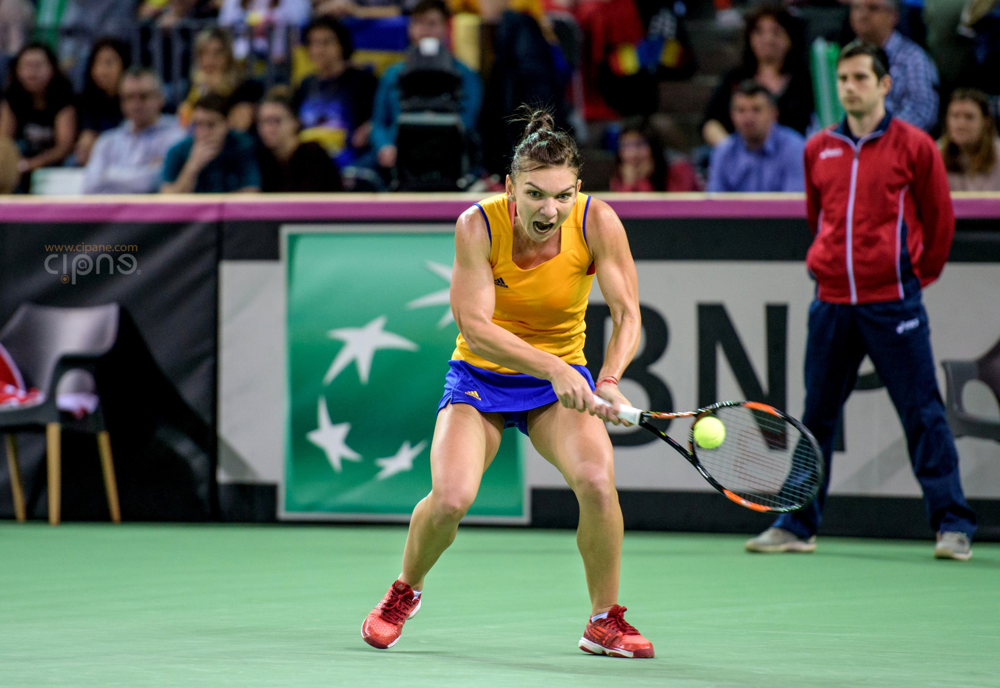 FedCup - România-Cehia - Simona Halep vs. Karolina Pliskova - 6 februarie 2016 - Sala Polivalentă, Cluj-Napoca