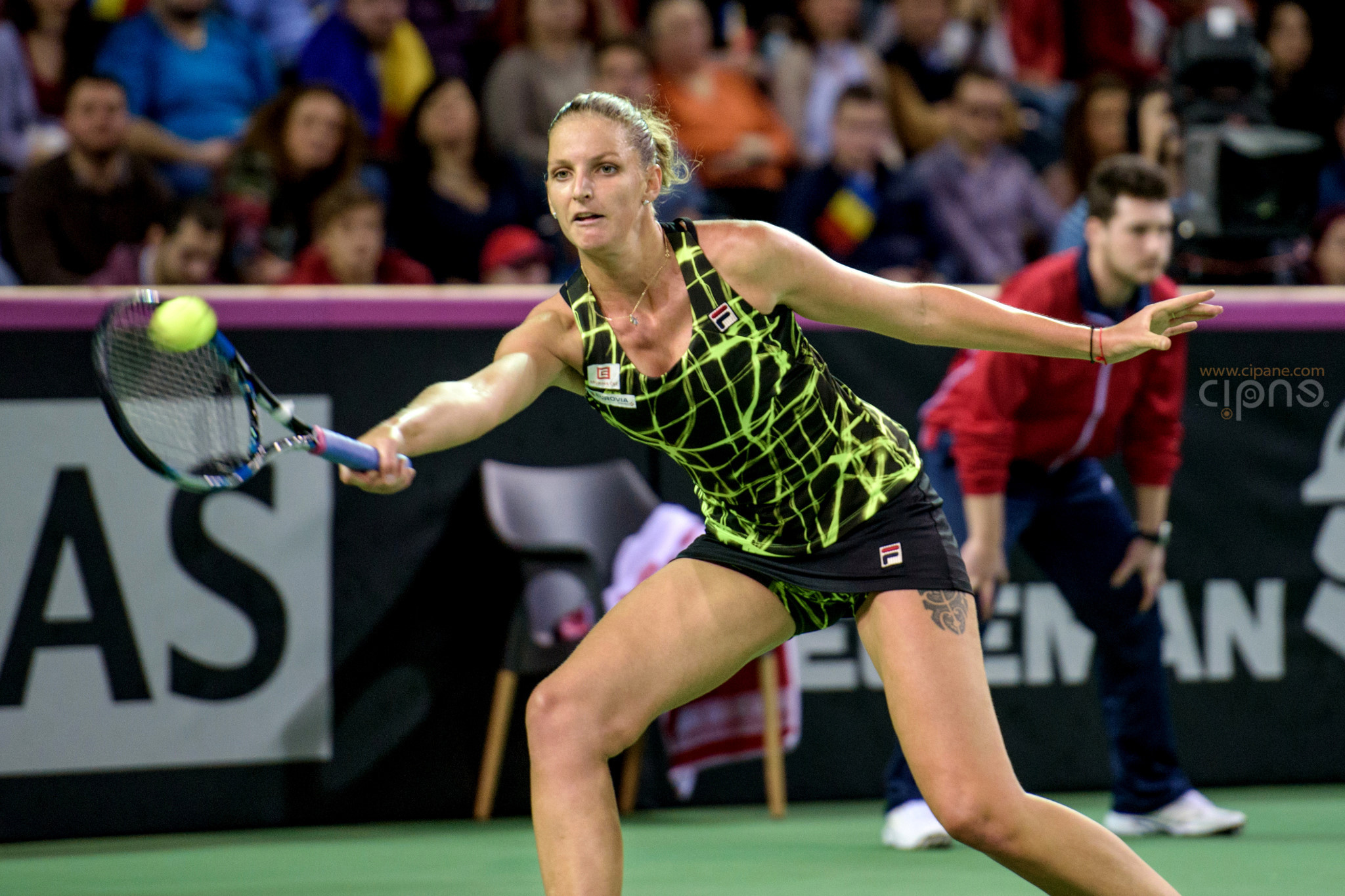 FedCup - România-Cehia - Simona Halep vs. Karolina Pliskova - 6 februarie 2016 - Sala Polivalentă, Cluj-Napoca