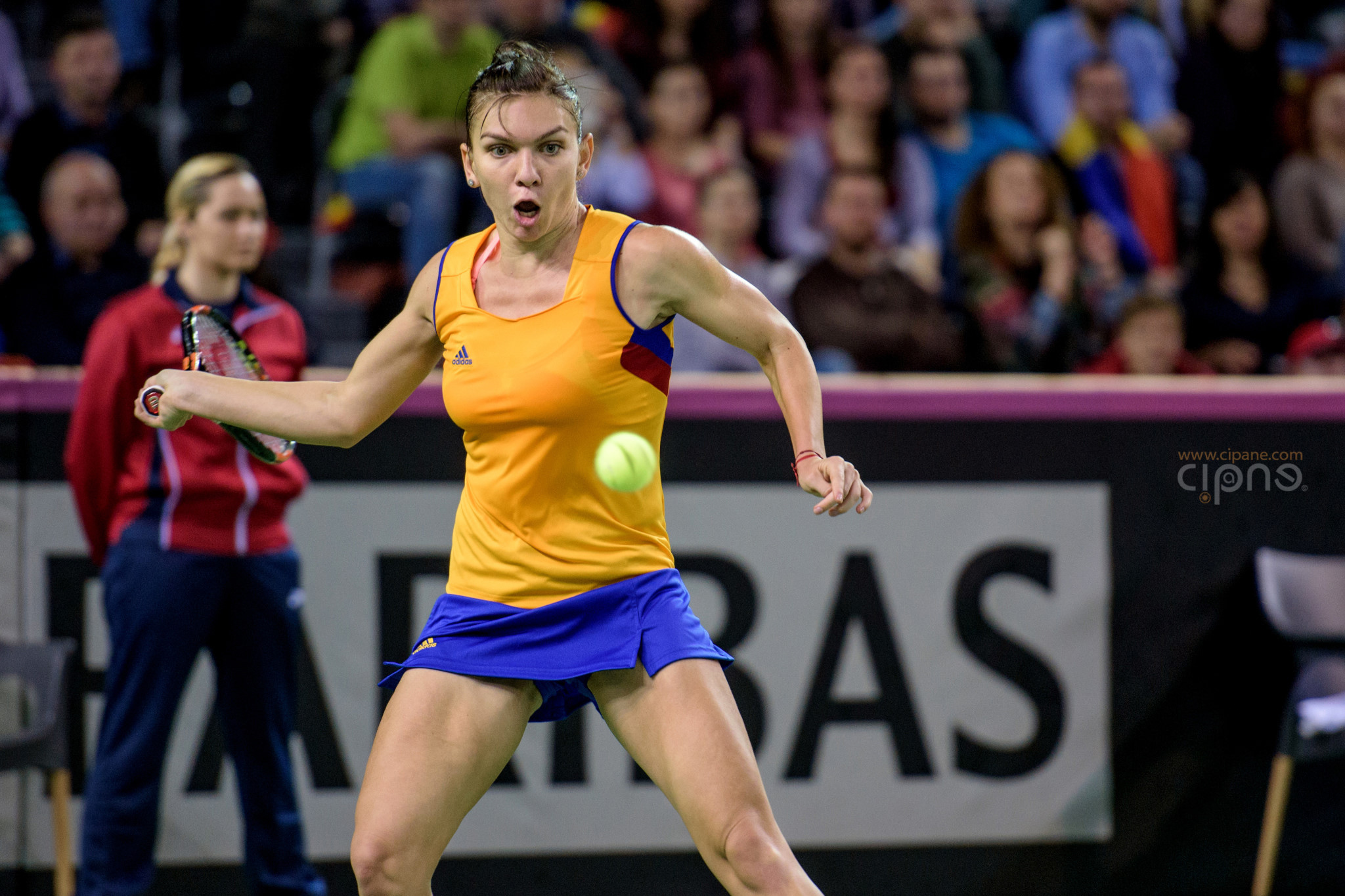 FedCup - România-Cehia - Simona Halep vs. Karolina Pliskova - 6 februarie 2016 - Sala Polivalentă, Cluj-Napoca