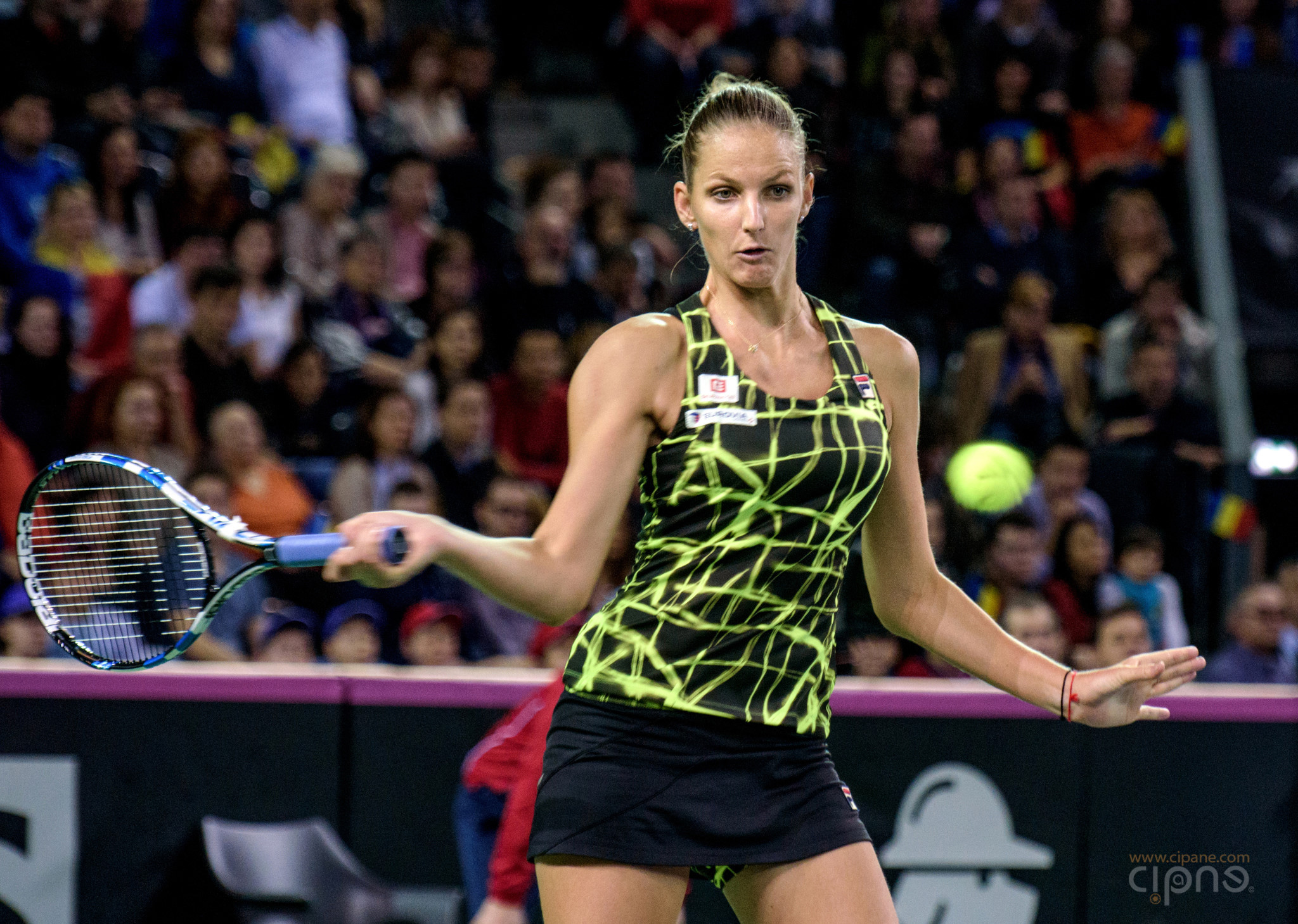 FedCup - România-Cehia - Simona Halep vs. Karolina Pliskova - 6 februarie 2016 - Sala Polivalentă, Cluj-Napoca
