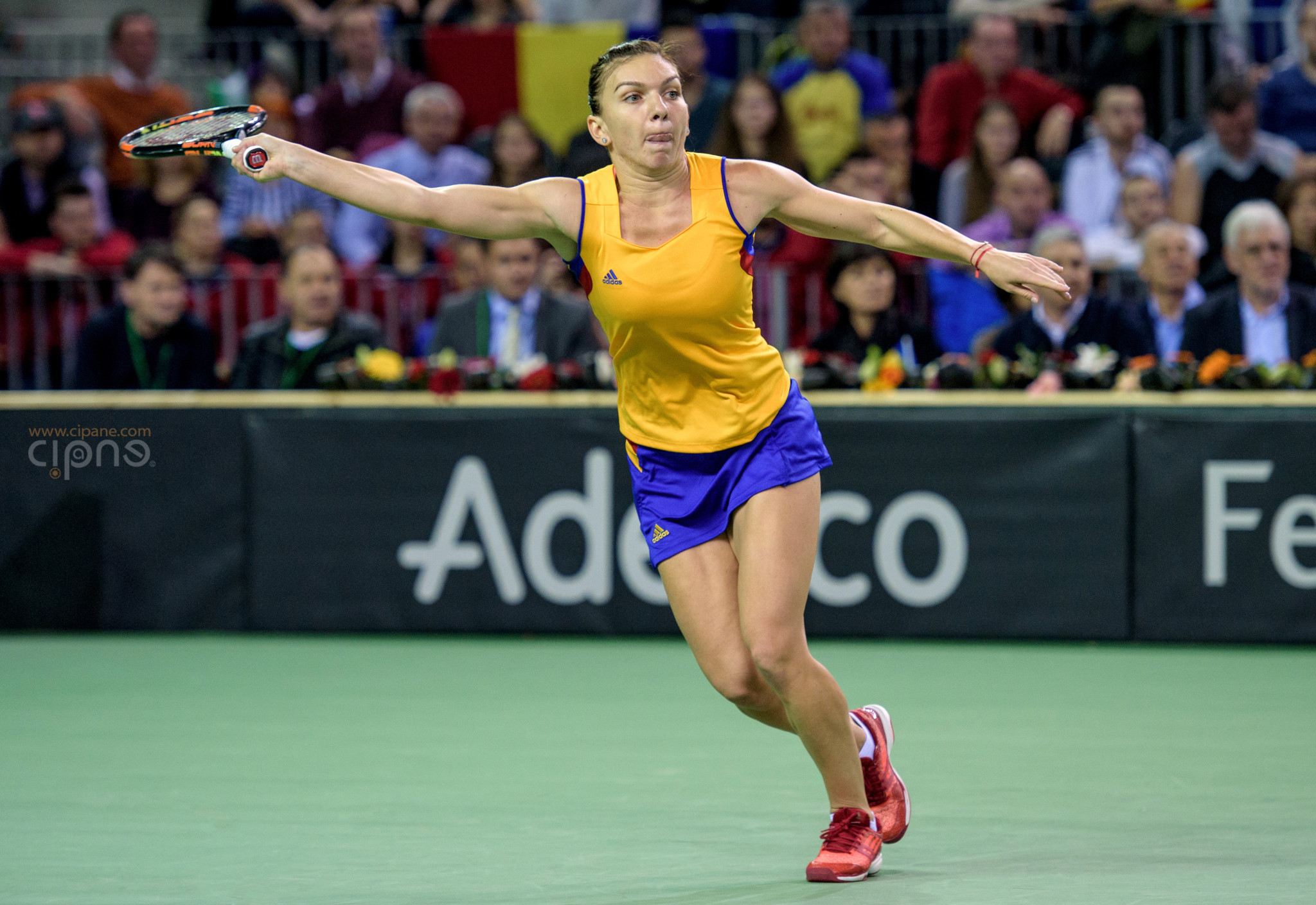 FedCup - România-Cehia - Simona Halep vs. Karolina Pliskova - 6 februarie 2016 - Sala Polivalentă, Cluj-Napoca