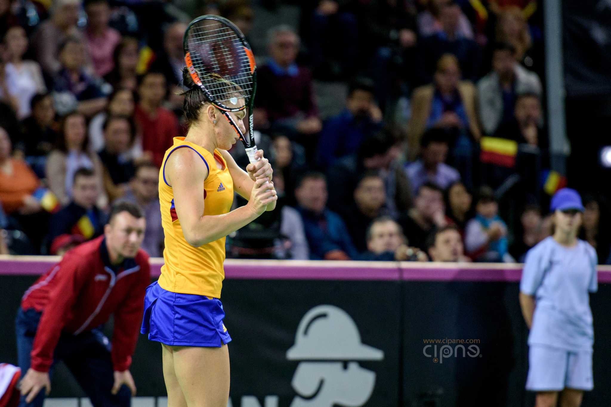 FedCup - România-Cehia - Simona Halep vs. Karolina Pliskova - 6 februarie 2016 - Sala Polivalentă, Cluj-Napoca
